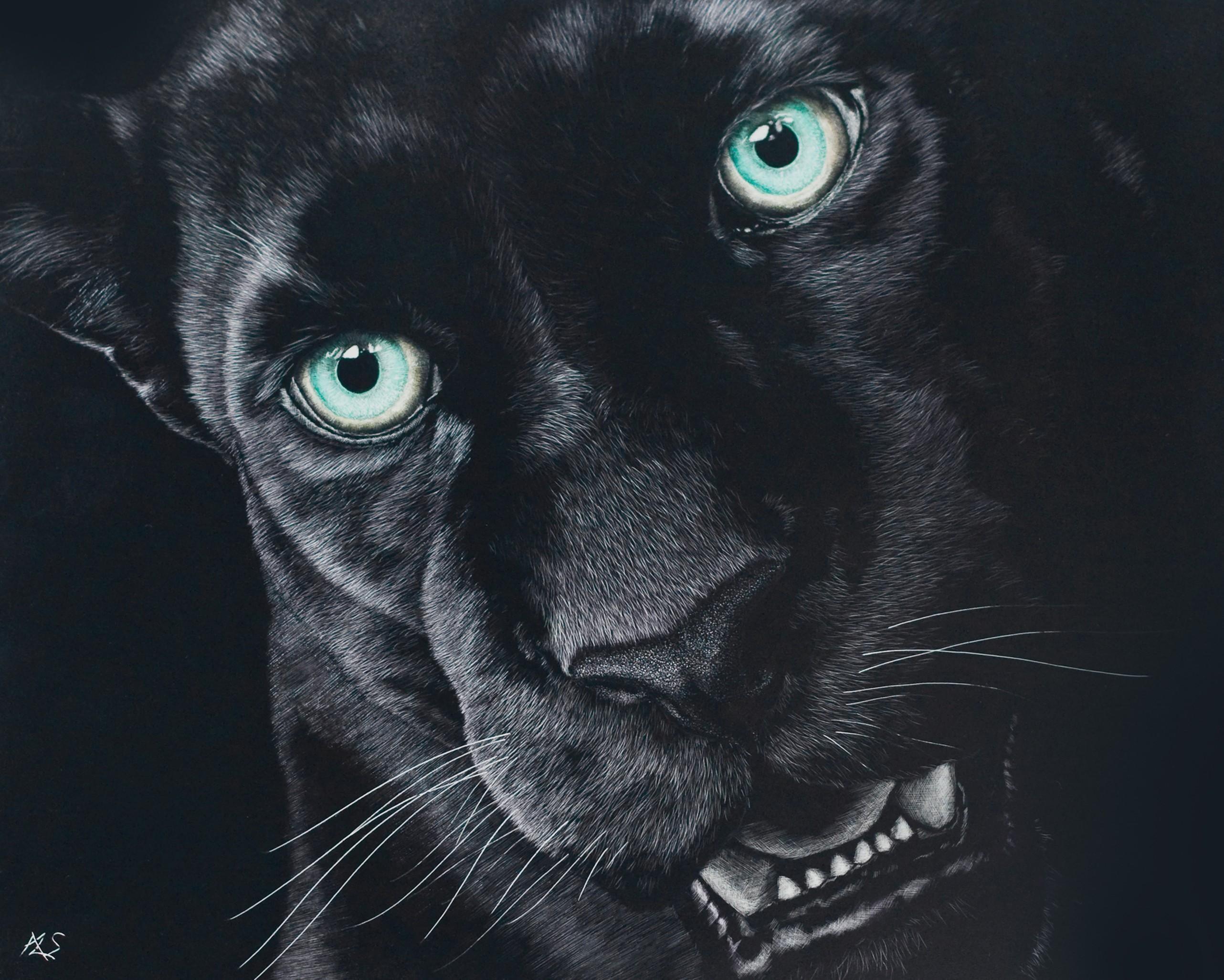 2564x2053 Free Black Jaguar Animal HD Wallpaper, Black Jaguar Animal HD Wallpaper Download