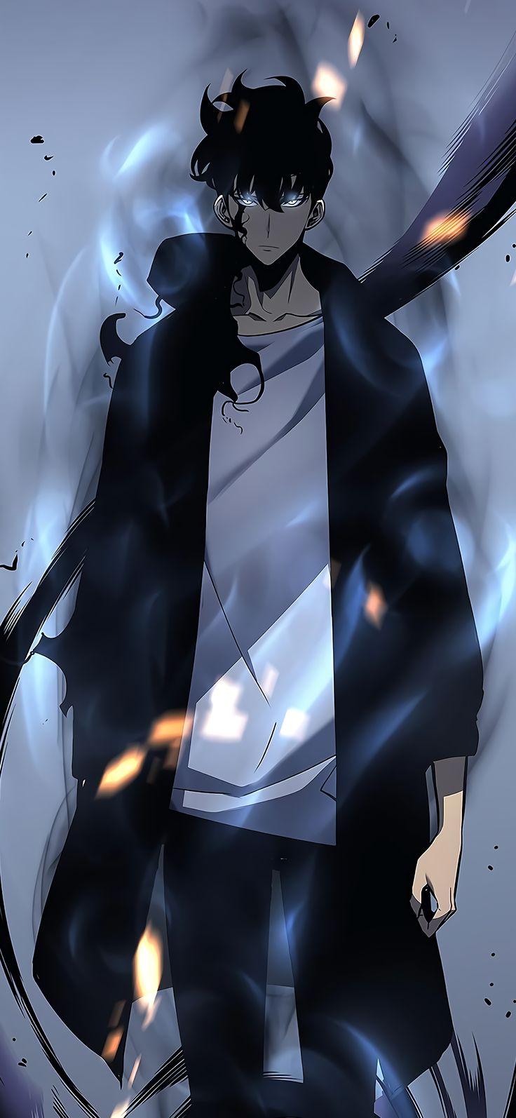 736x1594 Sung Jin Woo Leveling Mobile Wallpaper. Fondos De Pantallas Cool De Anime, Anime Masculino, Personajes De Anime