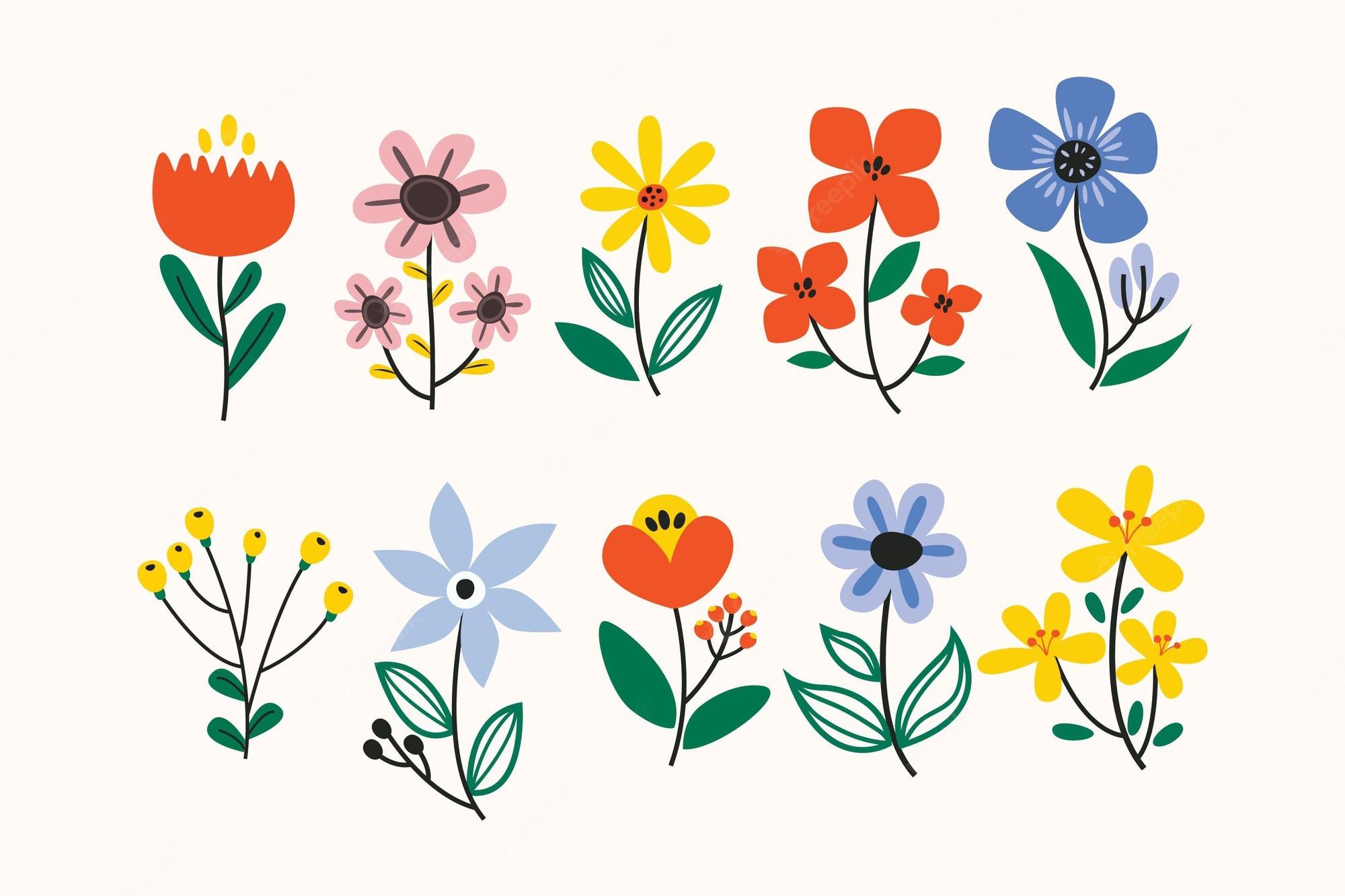 2000x1333 Flower Image