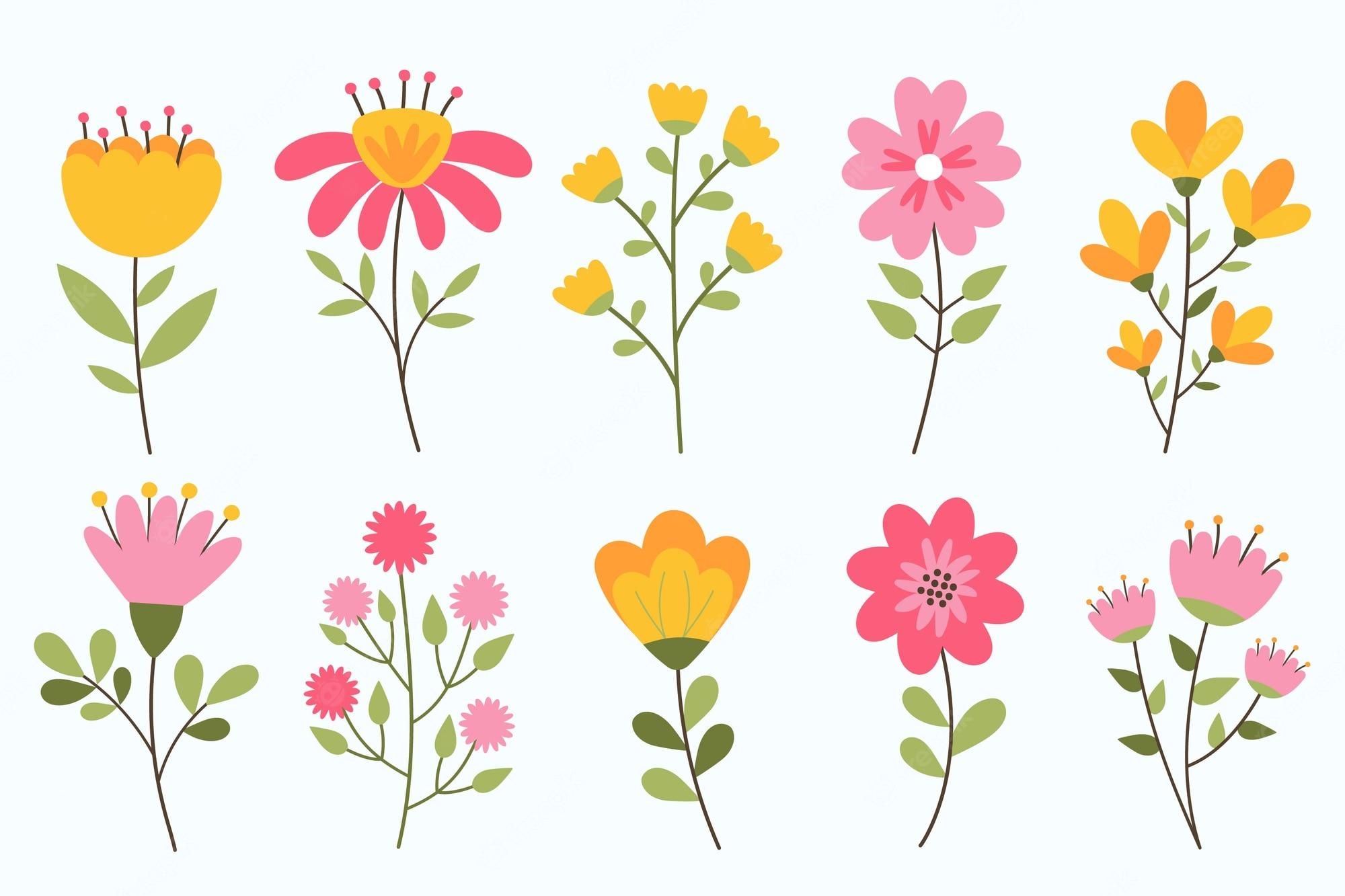 2000x1333 Flower Image