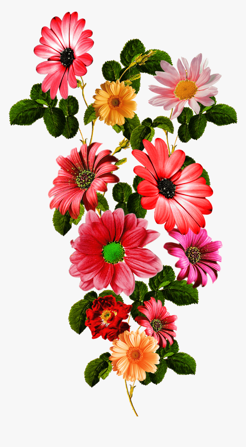 860x1560 Vector, flower, vector Art, flower Vector, vector Flower Vector Art, HD Png Download is fr. Botanical flower art, Flower painting, Vintage flowers wallpaper