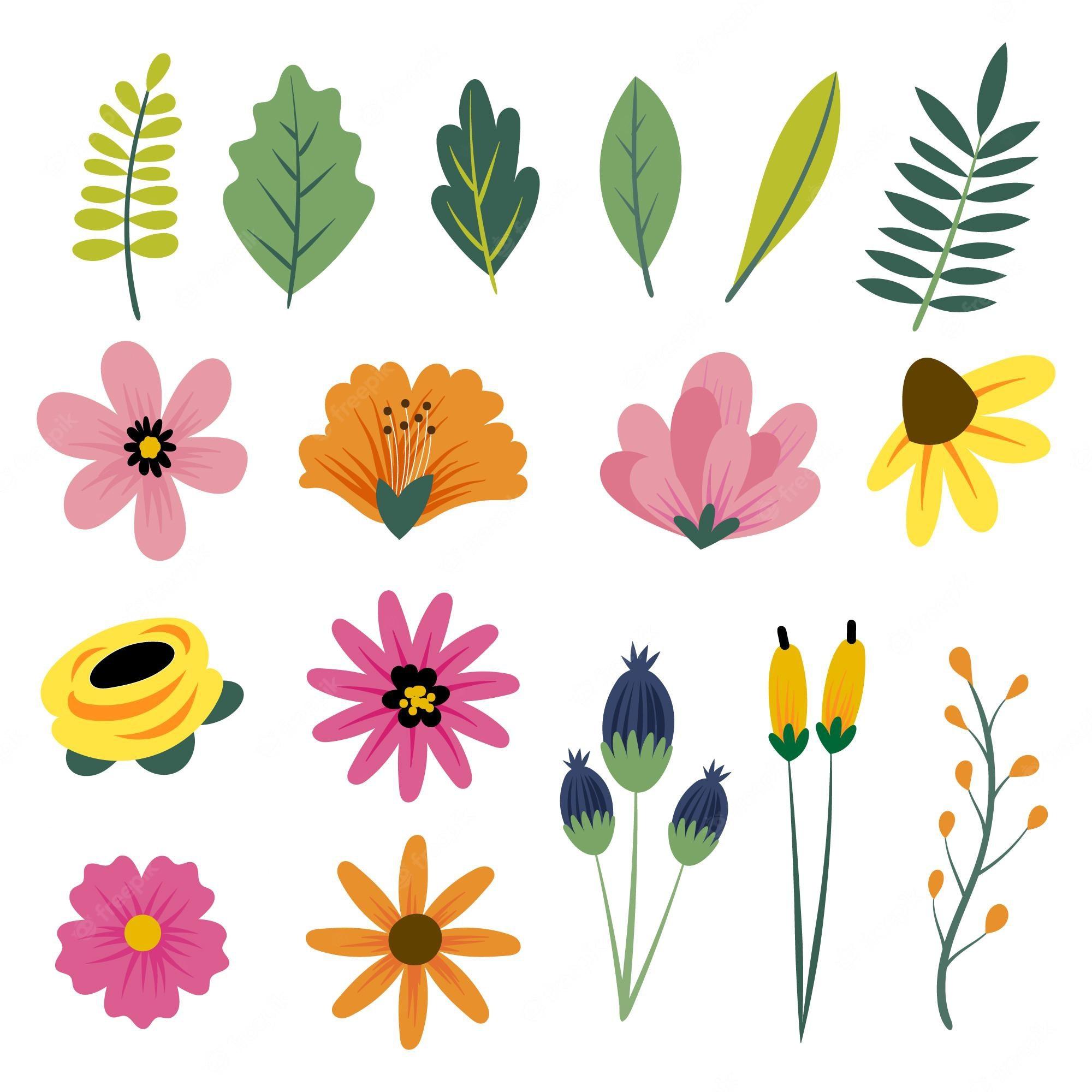2000x2000 Flower illustration Image. Free Vectors, & PSD