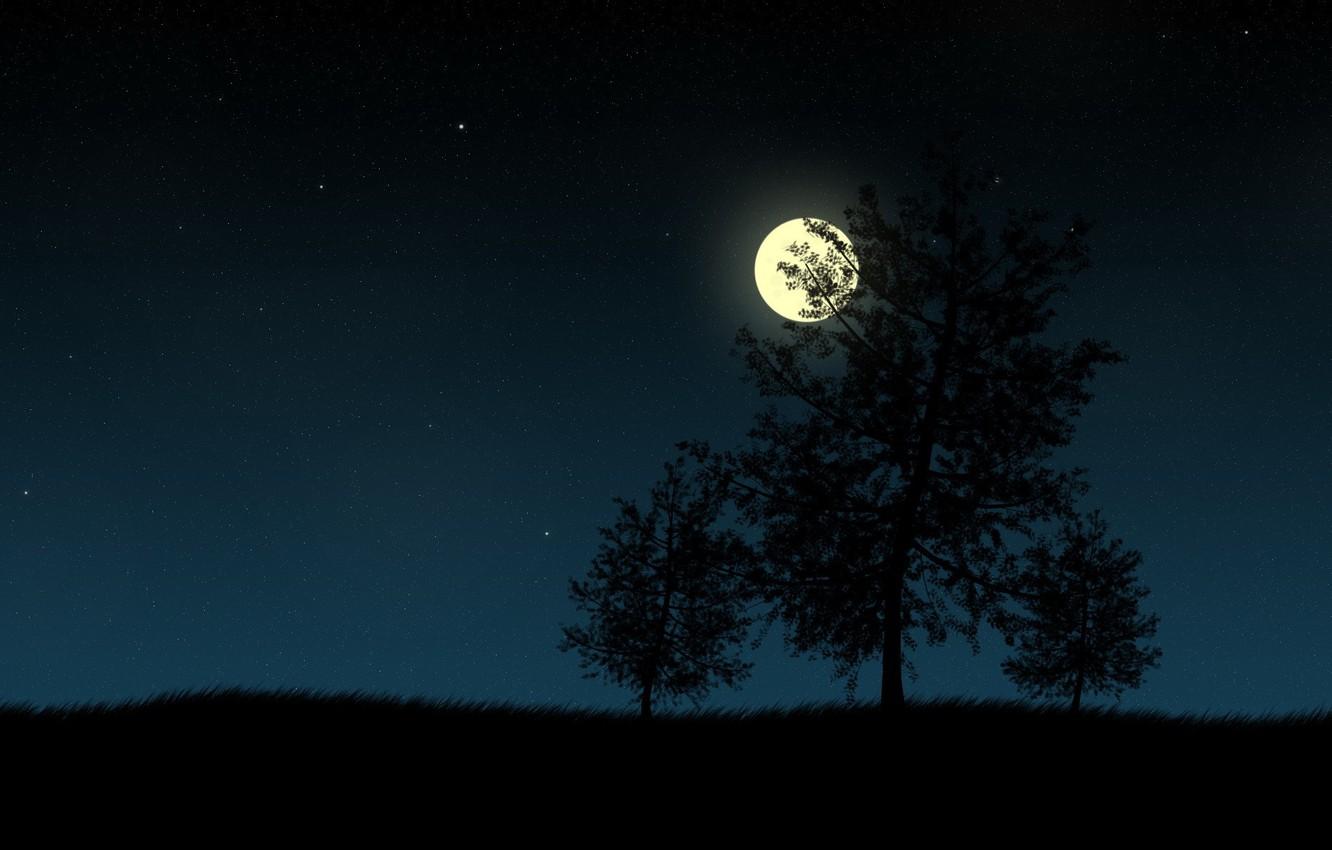 1332x850 Wallpaper night, the moon, vector, Trees image for desktop, section природа