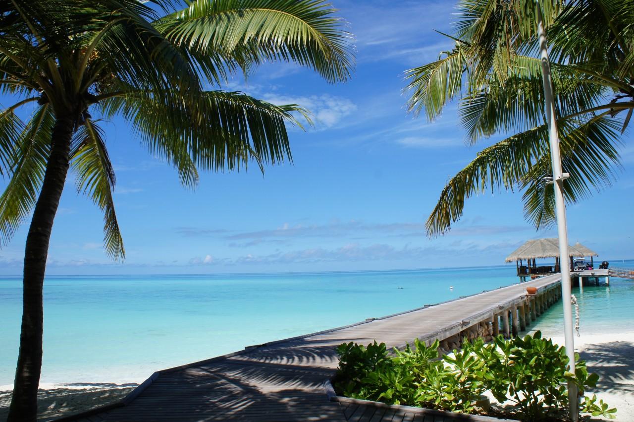 1280x851 maldives tropical beach beautiful 3D Models. Free