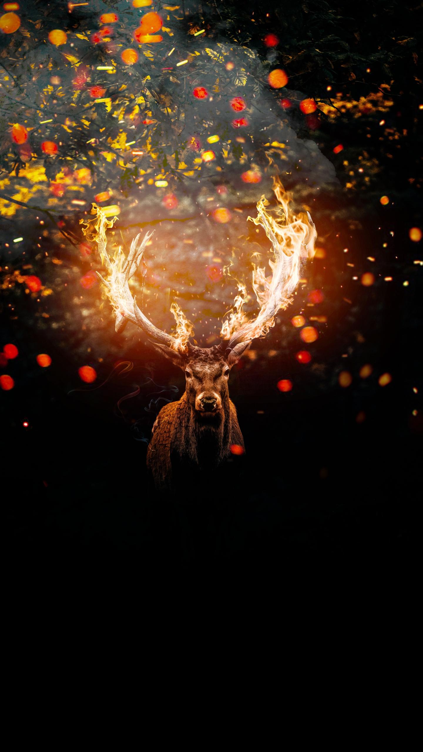 1440x2560 Download deer, horns on fire, muzzle, art 1440x2560 wallpaper, qhd samsung galaxy s s edge, note, lg g 1440x2560 HD image, background, 19343