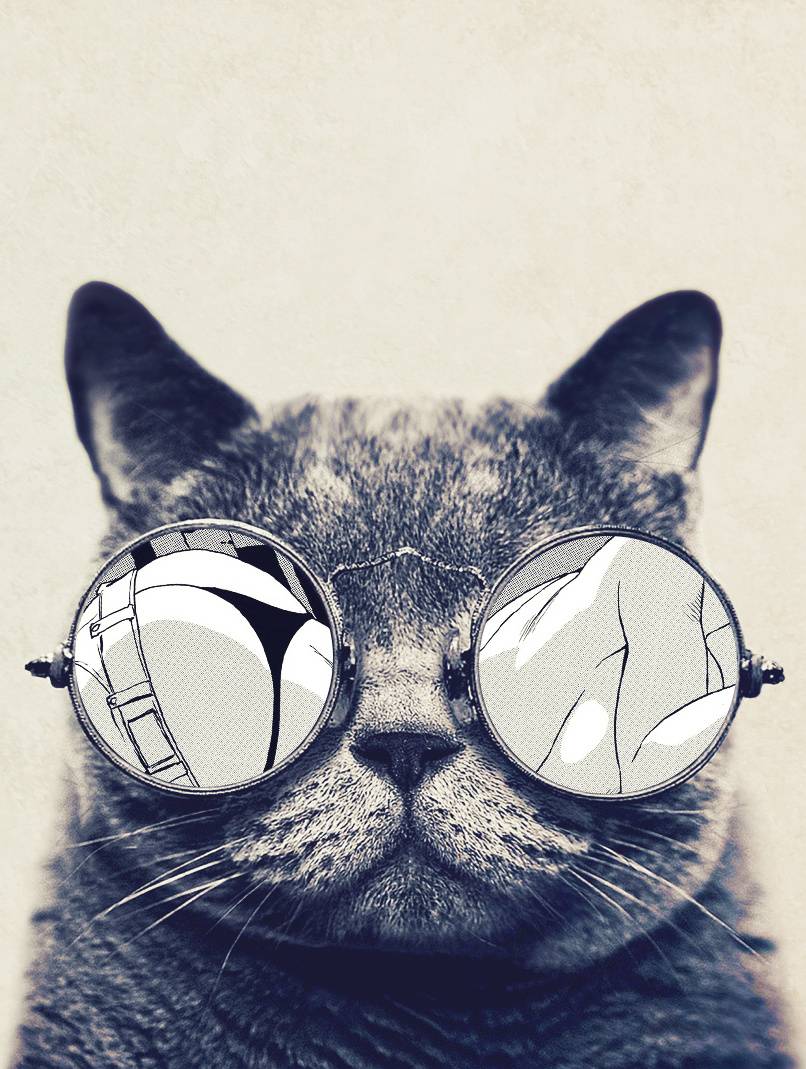 806x1069 Hipster cat Wallpaper