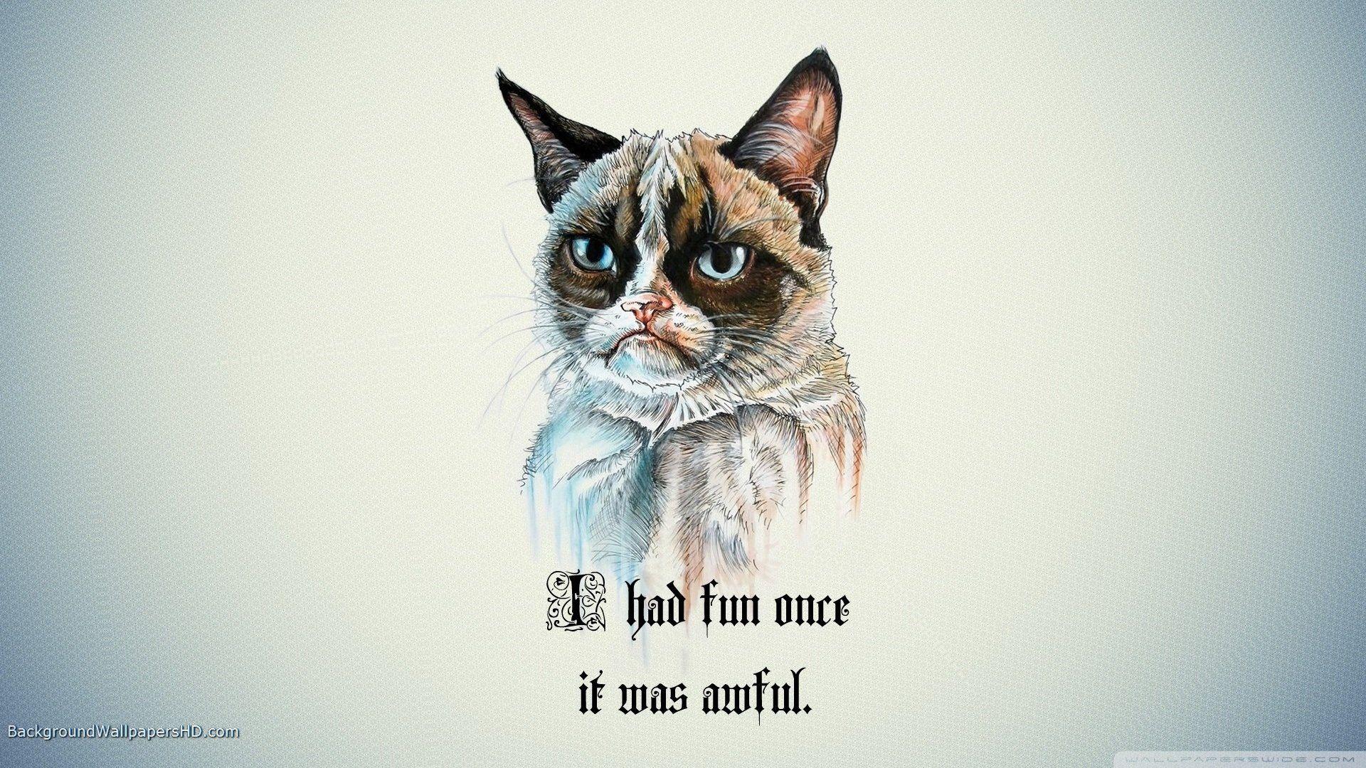 1920x1080 Grumpy Cat Wallpaper HD 1920x1080 (532.36 KB)