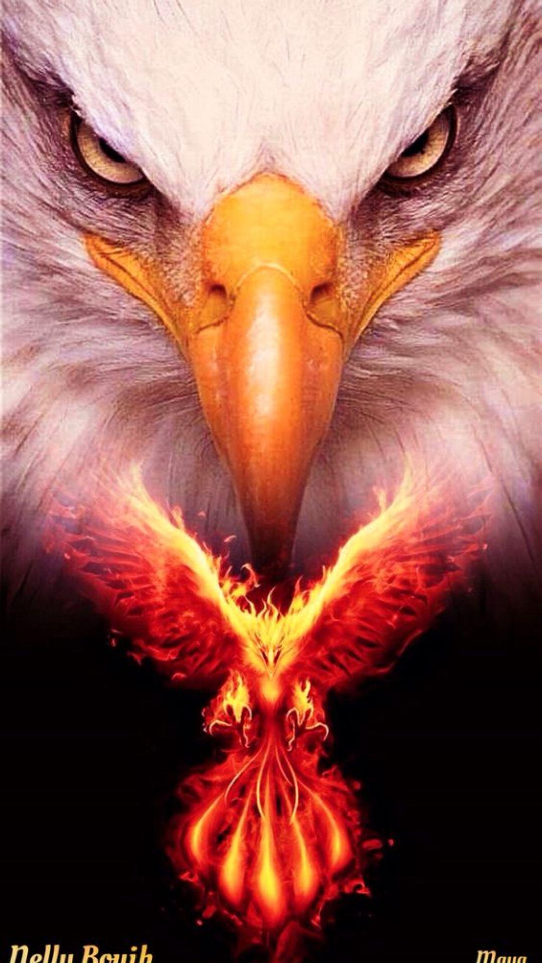 1080x1920 Eagle Wallpaper [Desktop, iPhone, Laptop, Mobile]