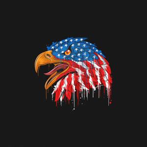 300x300 Download Us Eagle Cartoon Art Wallpaper