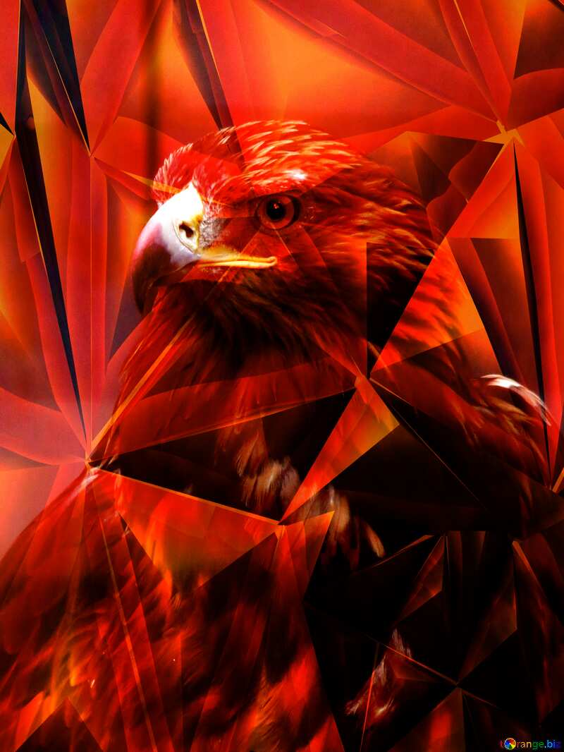 800x1066 Download Free Picture Golden Eagle Red Polygonal Texture On CC BY License Free Image Stock TOrange.biz Fx №206705