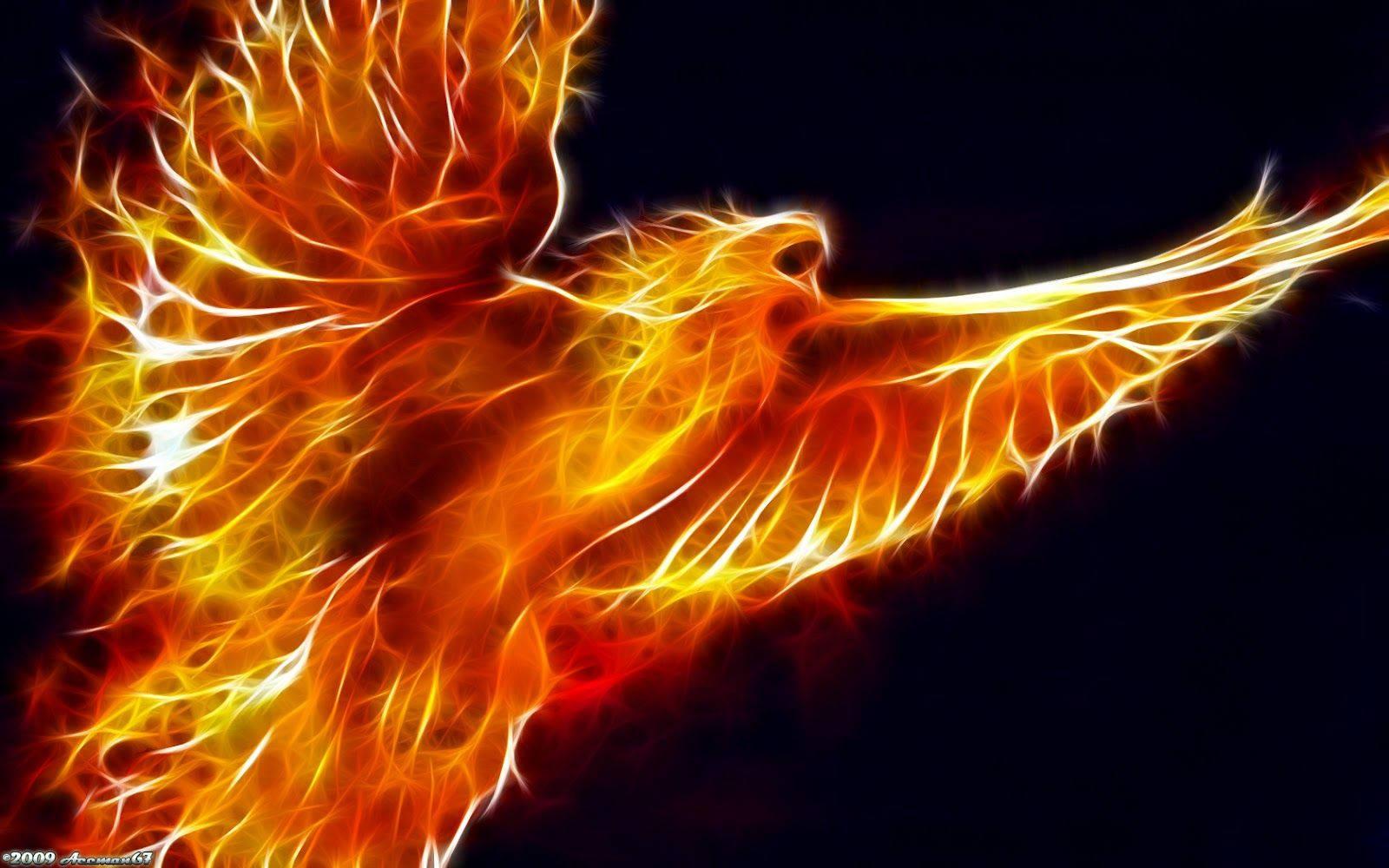 1600x1000 Download Fire Eagle Wallpaper