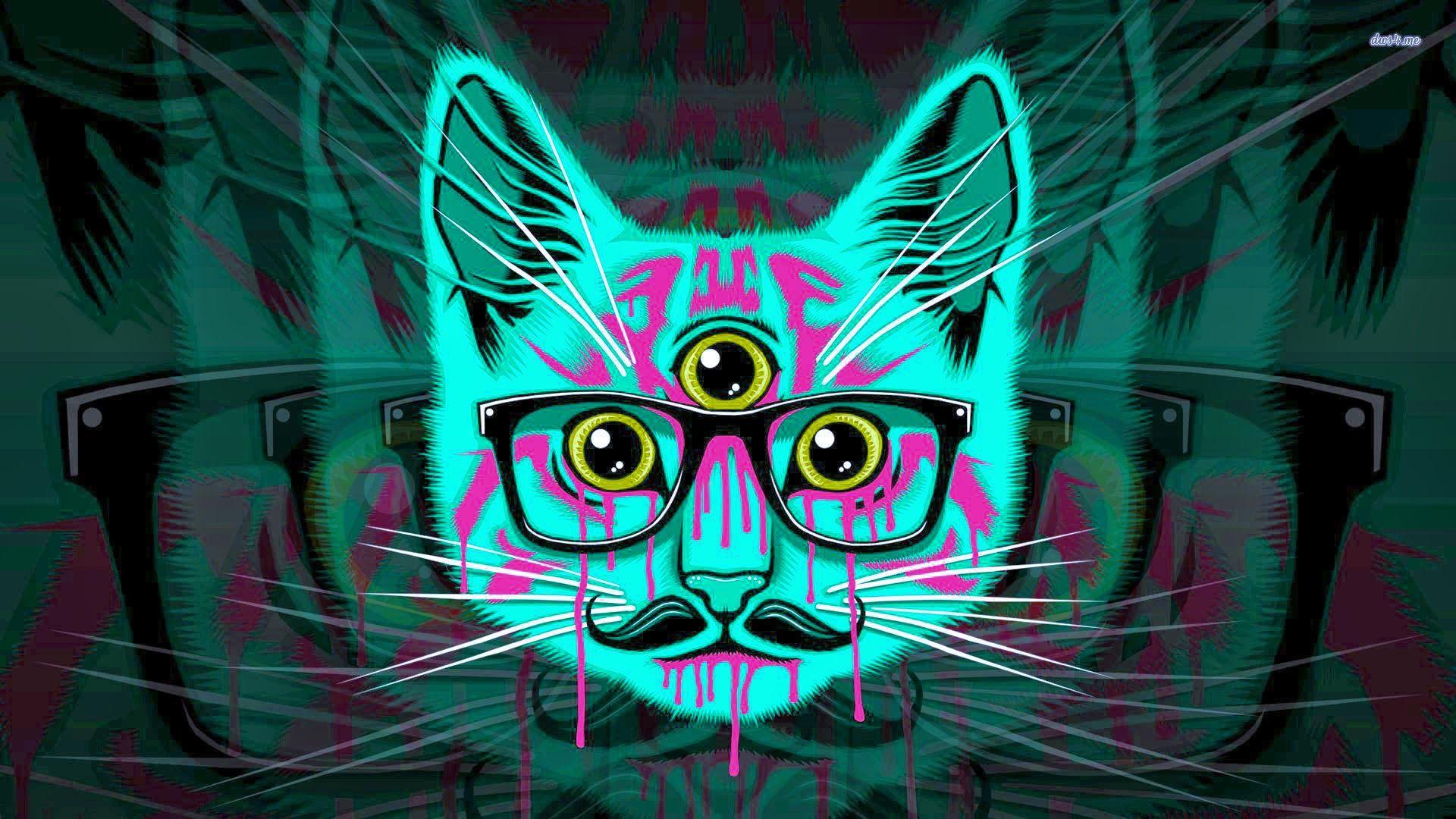1920x1080 Hipster Cat Wallpaper For Android • dodskypict