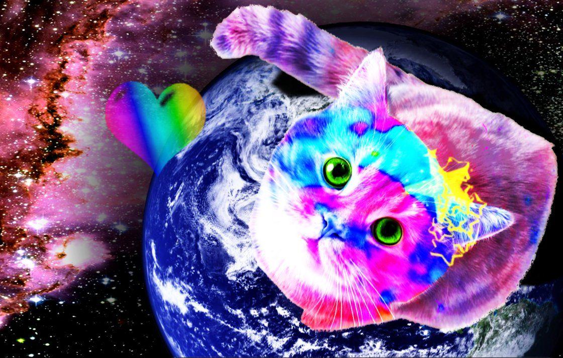 1120x713 Galaxy Cat Wallpaper Group , HD Wallpaper