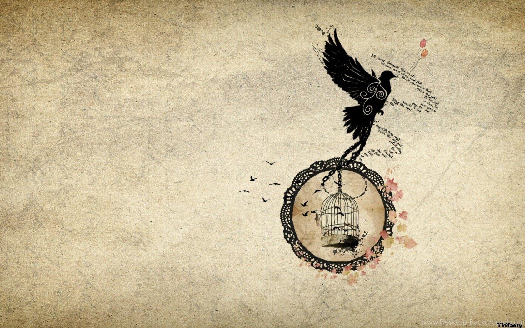 1680x1050 Hipster Cat Wallpaper Picture Wallove Desktop Background