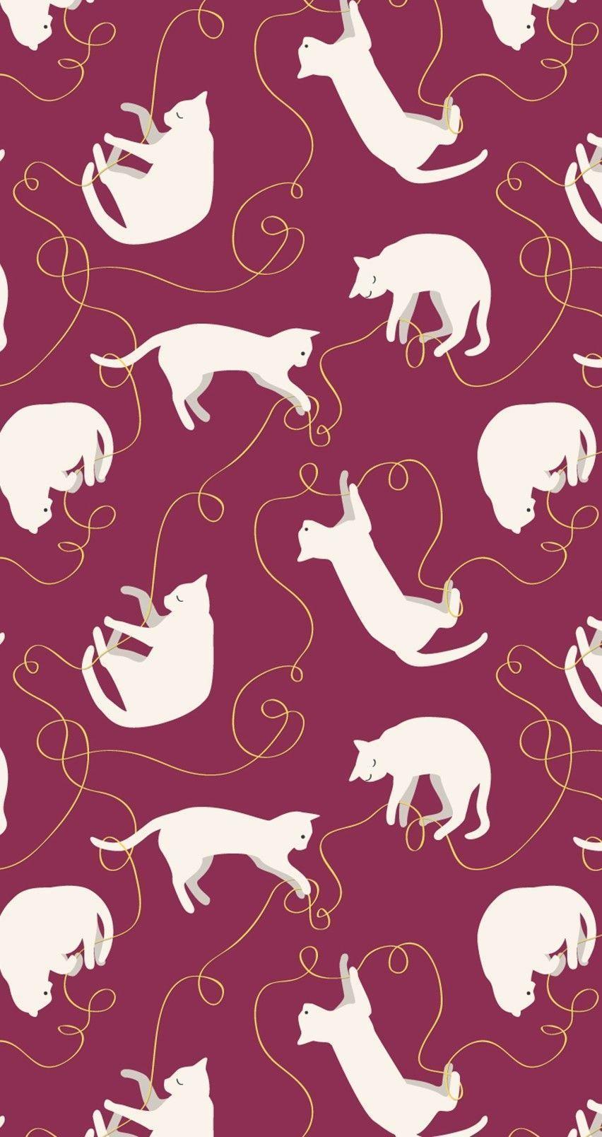 852x1608 Best Free Hipster Cat Wallpaper Cats Tumblr