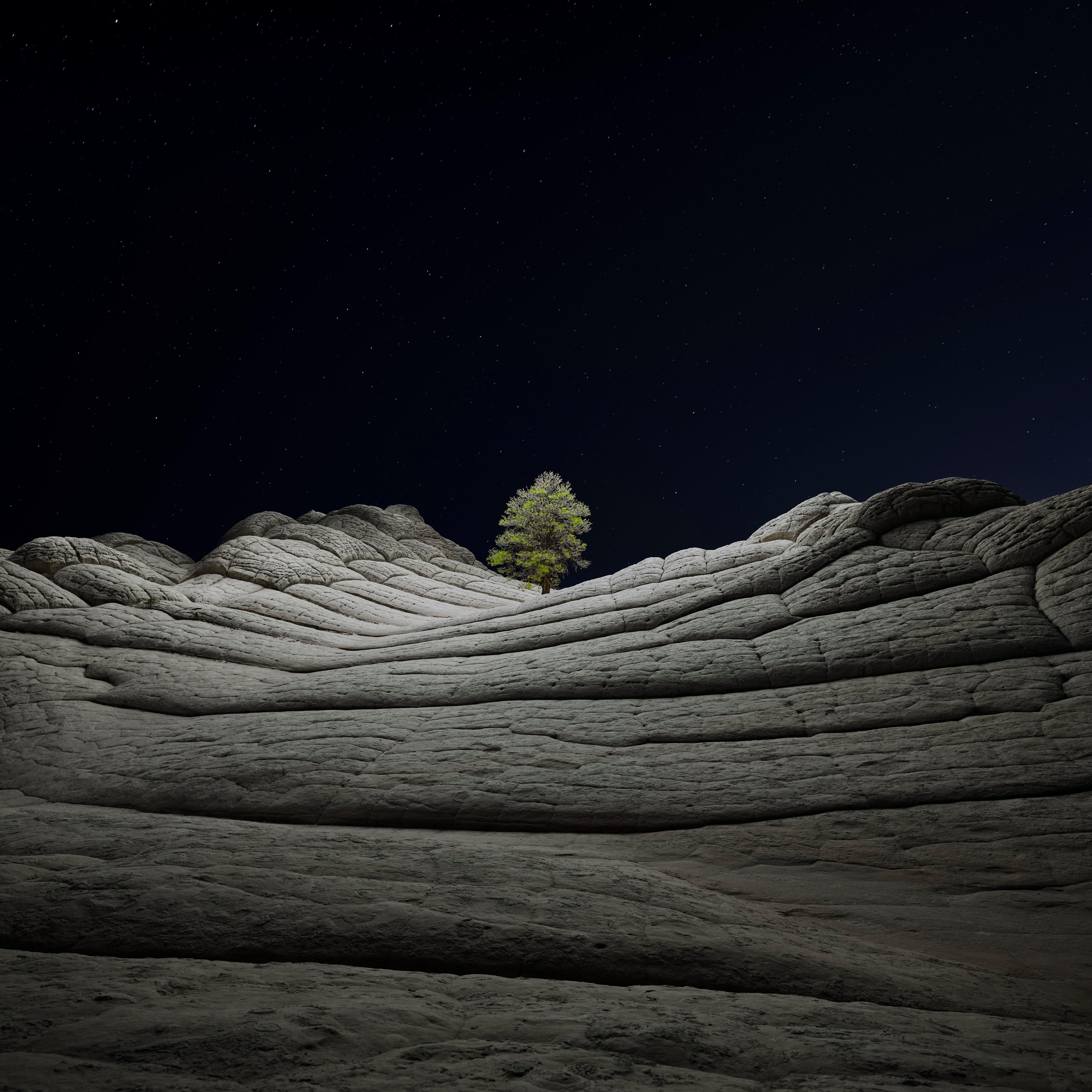6016x6016 Get the macOS Big Sur Default Wallpaper
