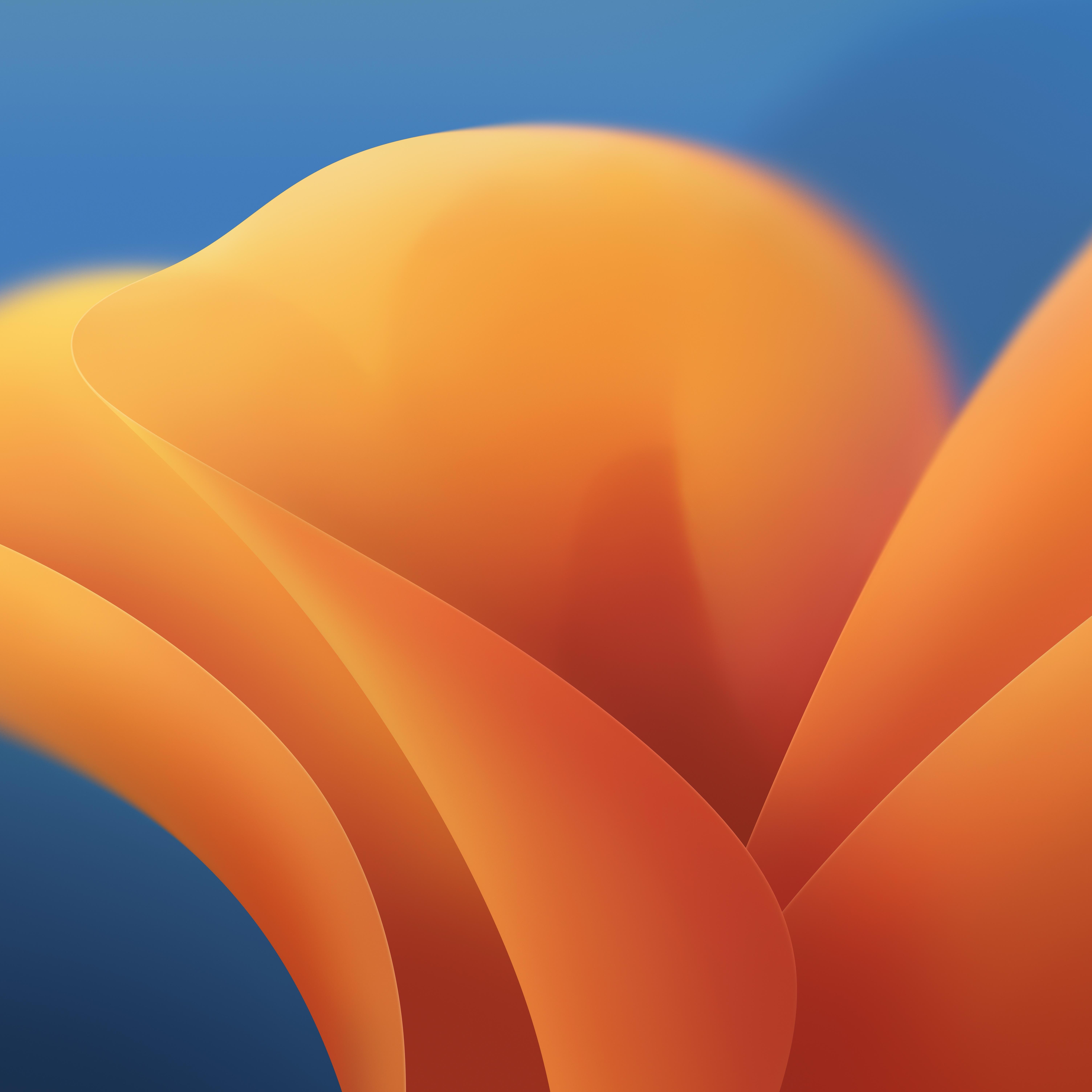 6016x6016 Download the new macOS 13 Ventura wallpaper