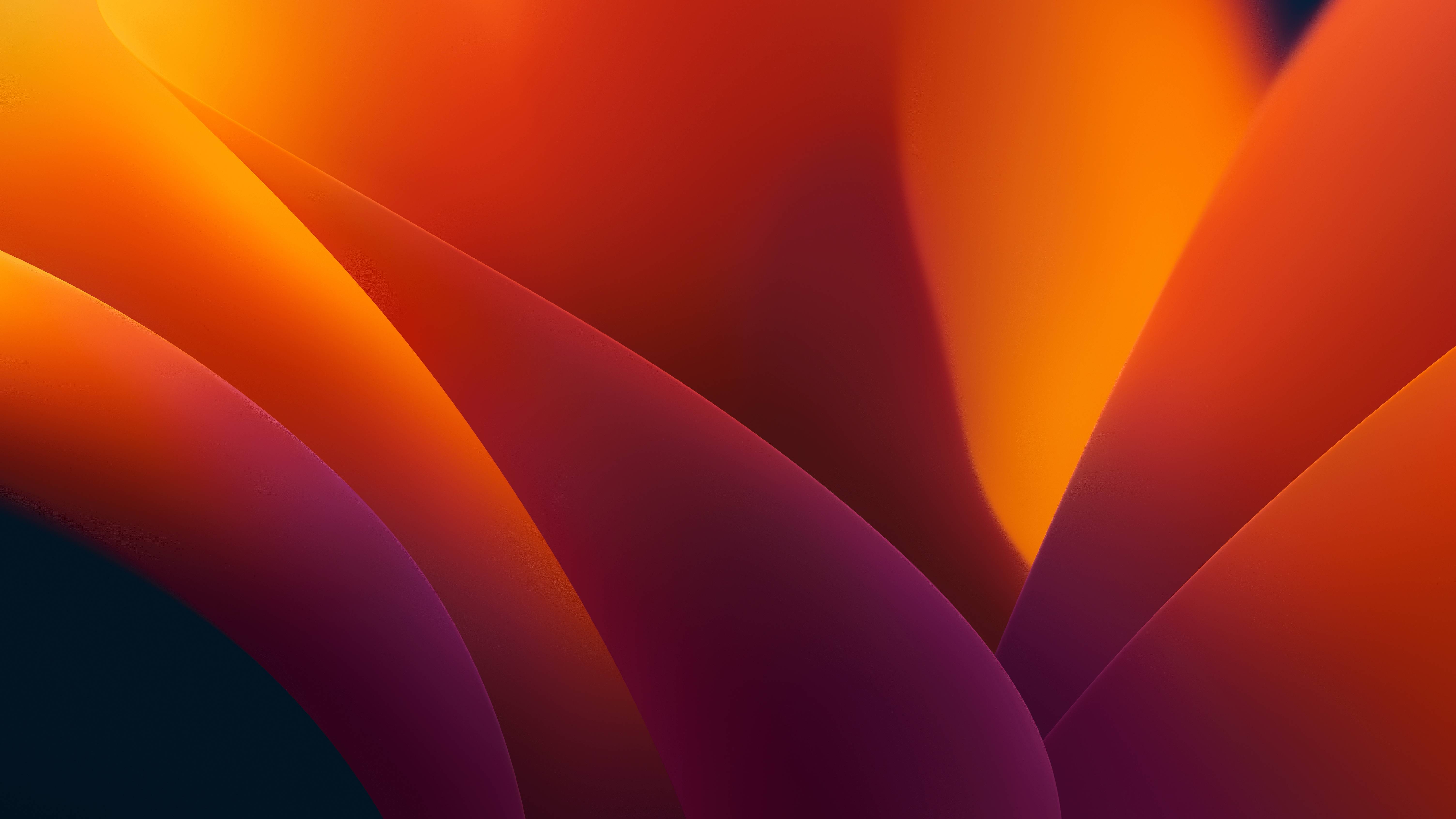 6016x3384 Mac Os Ventura Dark 5k, HD Computer, 4k Wallpaper, Image, Background, Photo and Picture