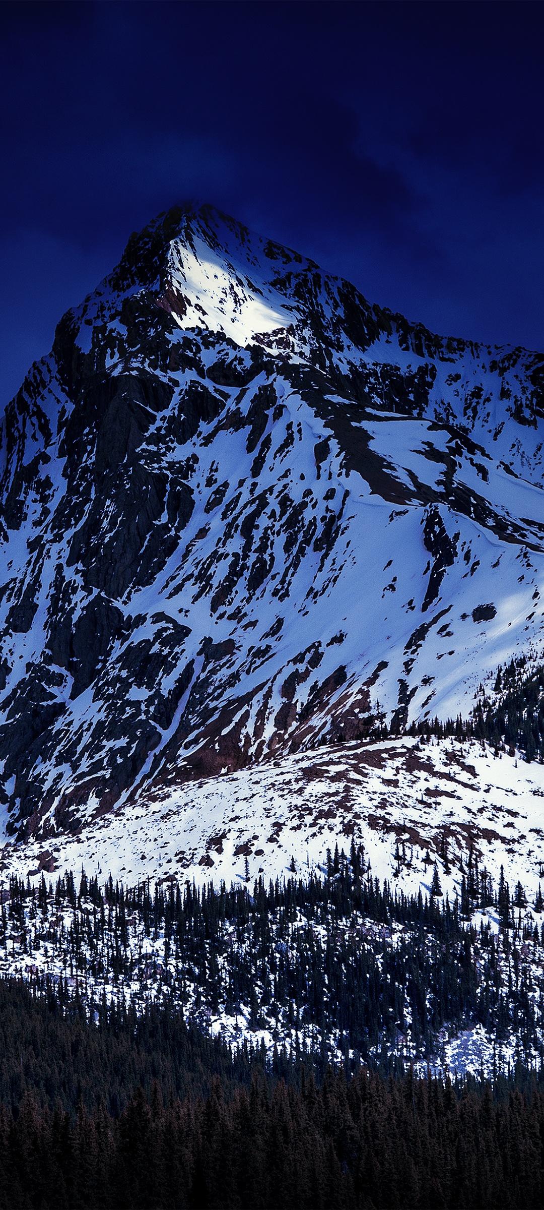 1080x2400 Glacier mountains Wallpaper 4K, Snow covered, Dark Sky, Green Trees, Nature