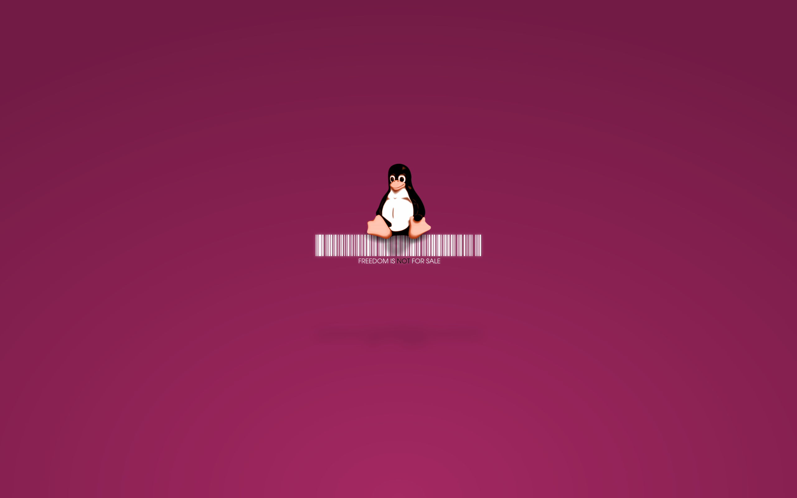 2560x1600 Tux on the code, Linux Desktop wallpaper 1920x1080