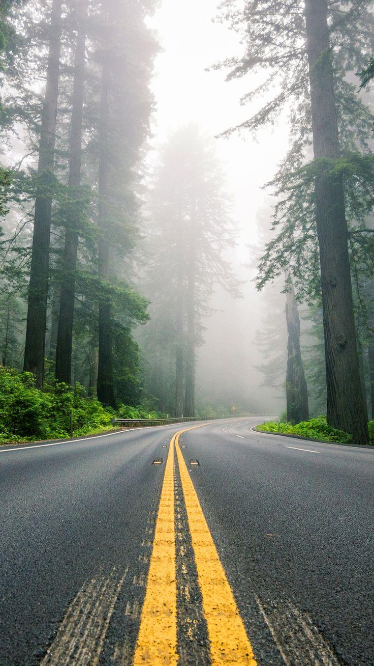 736x1308 North America Highway Road USA IPhone Wallpaper. Christmas Wallpaper Background, IPhone Wallpaper Usa, Christmas Lights Background