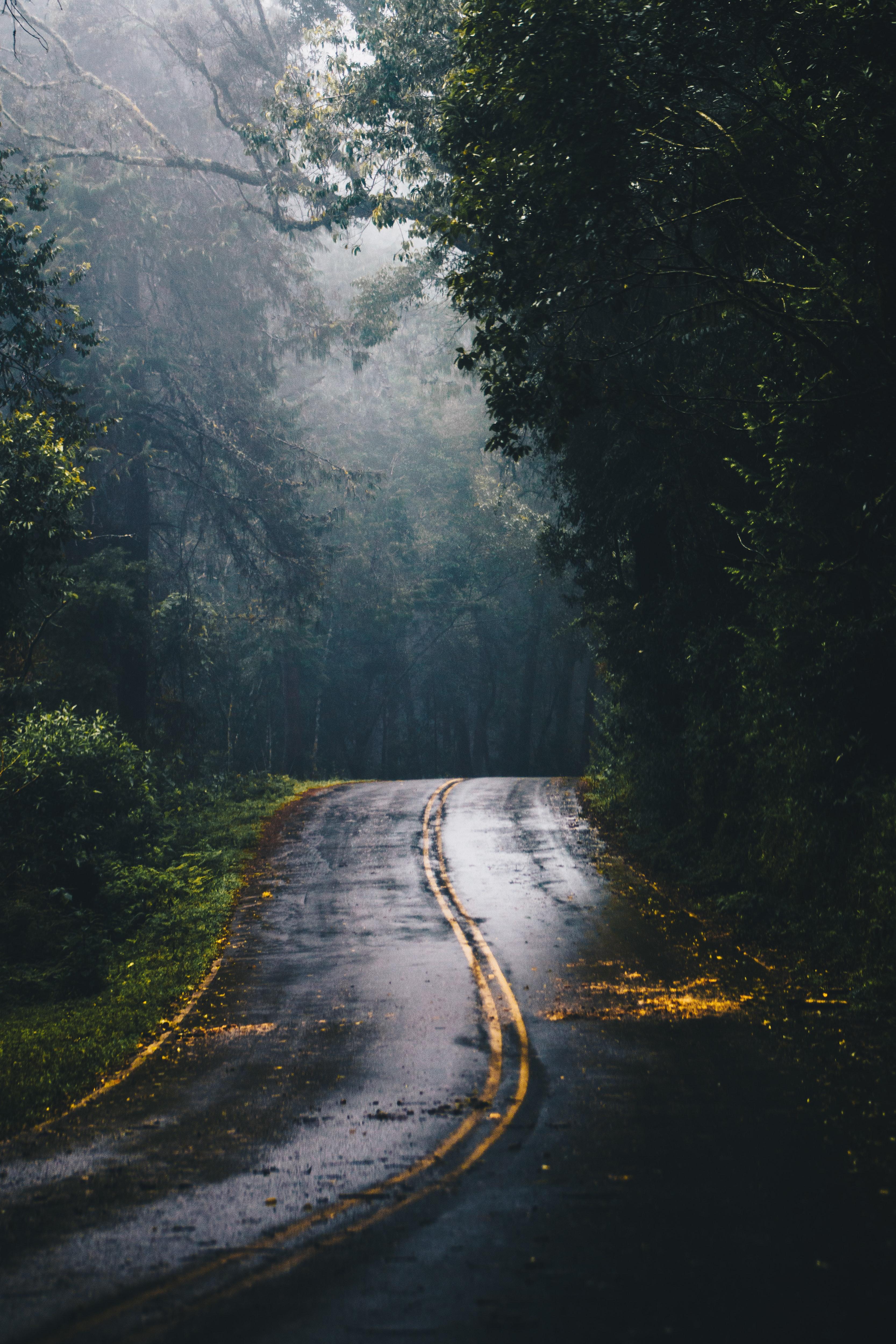 3333x5000 Pexels