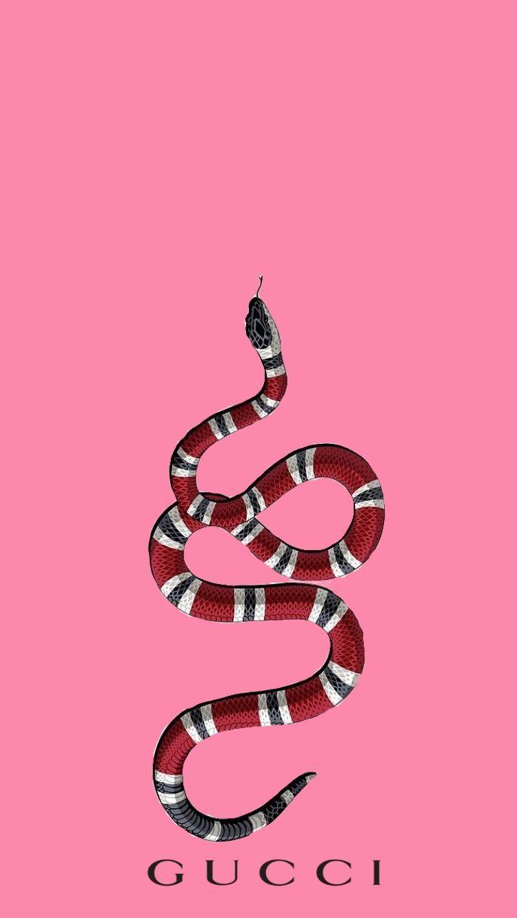 Pink Snake Wallpapers - Top Free Pink Snake Backgrounds - WallpaperAccess