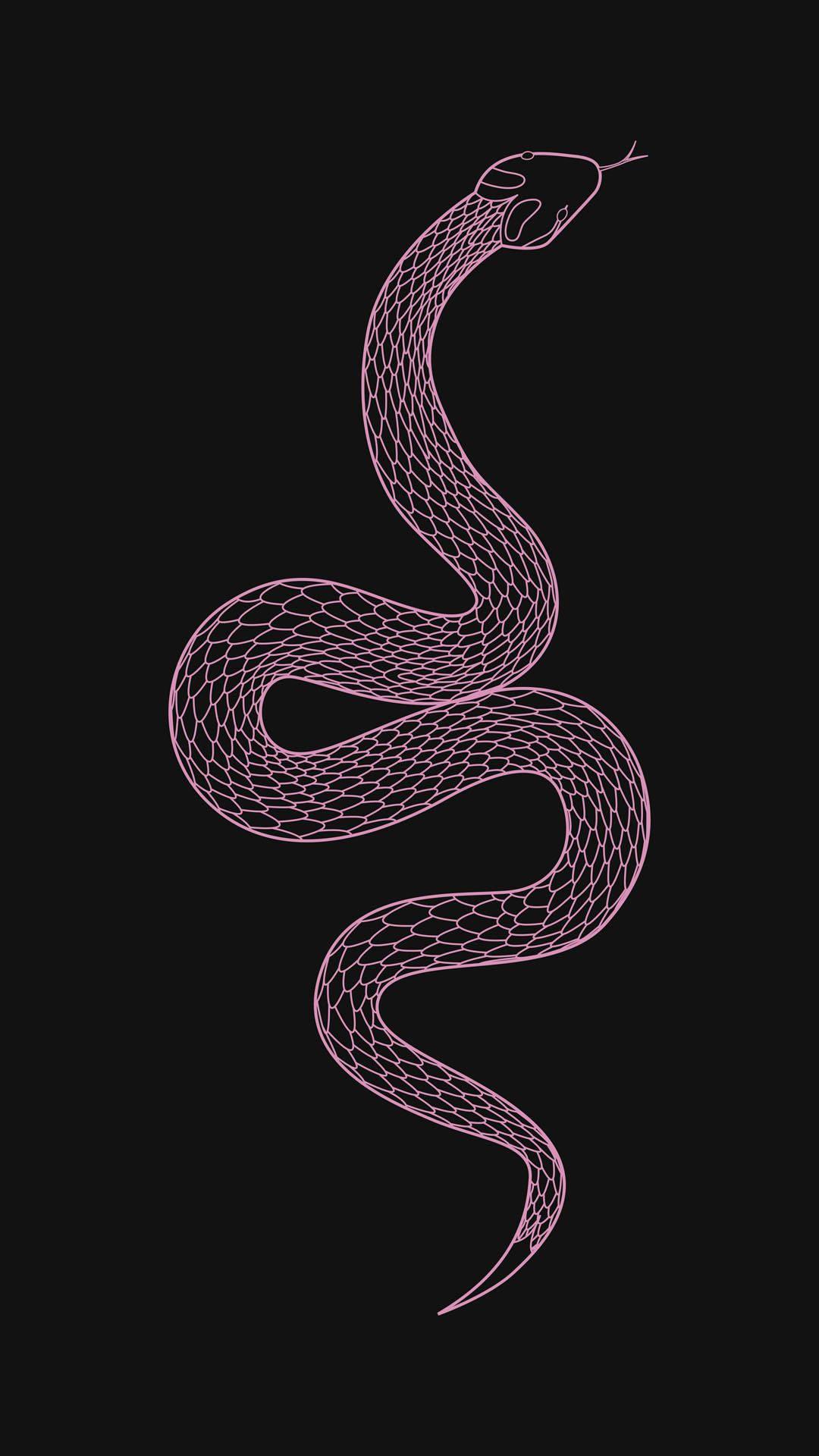 Pink Snake Wallpapers - Top Free Pink Snake Backgrounds - WallpaperAccess