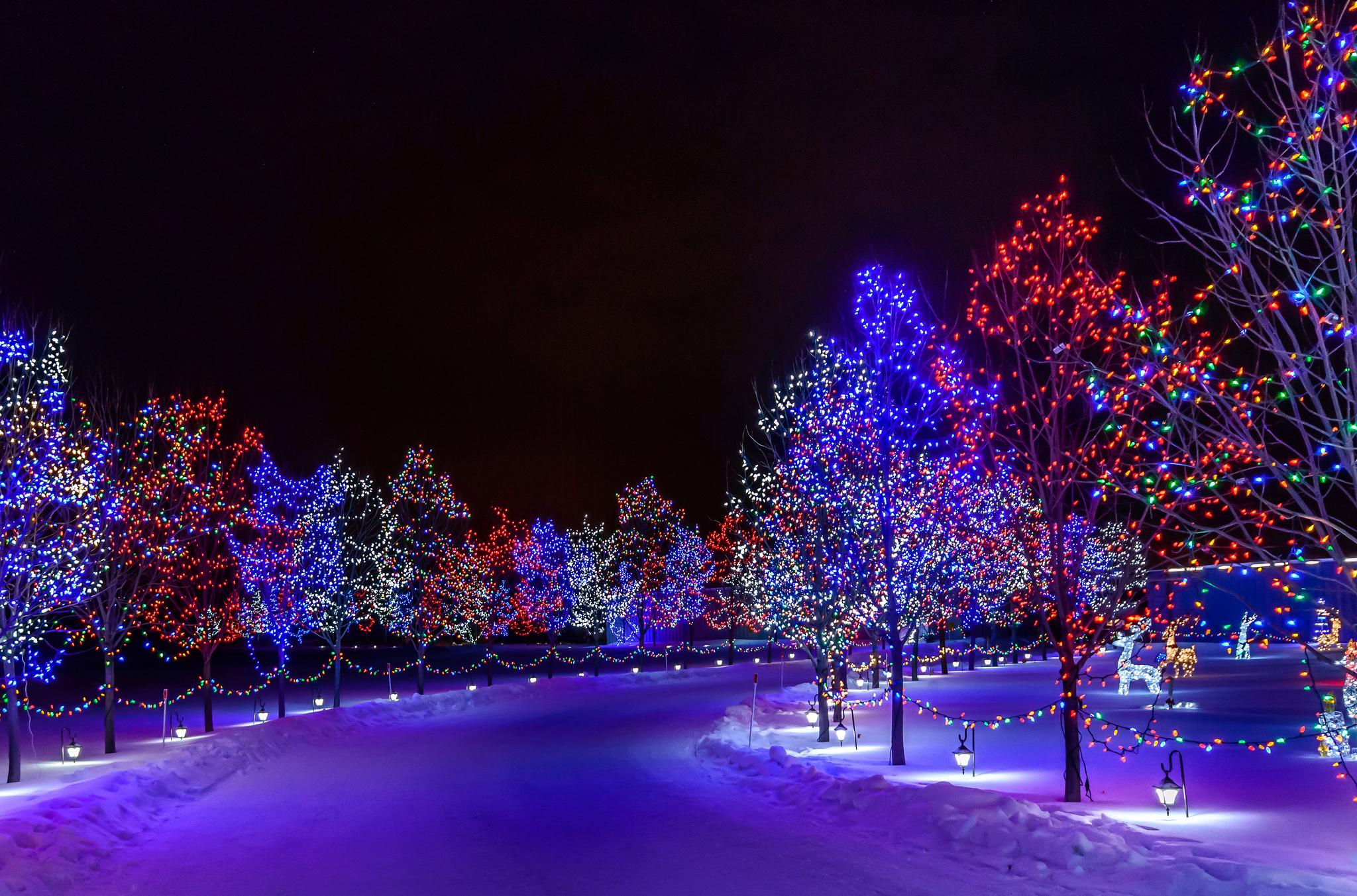 2048x1353 Free download Wallpaper city night park road trees illumination snow winter [2048x1353] for your Desktop, Mobile & Tablet. Explore Snow in the City Wallpaper. Snow in the City Wallpaper