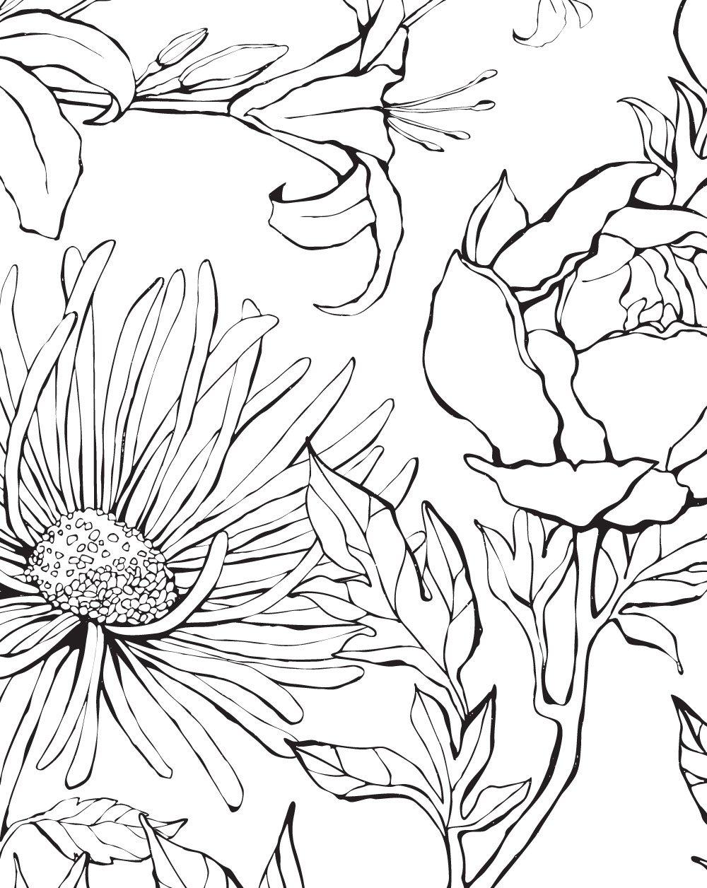 1000x1256 Botanical Garden Hand Drawn Flowers Mural Wall Art Wallpaper and Stick Sheet Pack x 96h. Flower drawing, Line art flowers, Flower mural