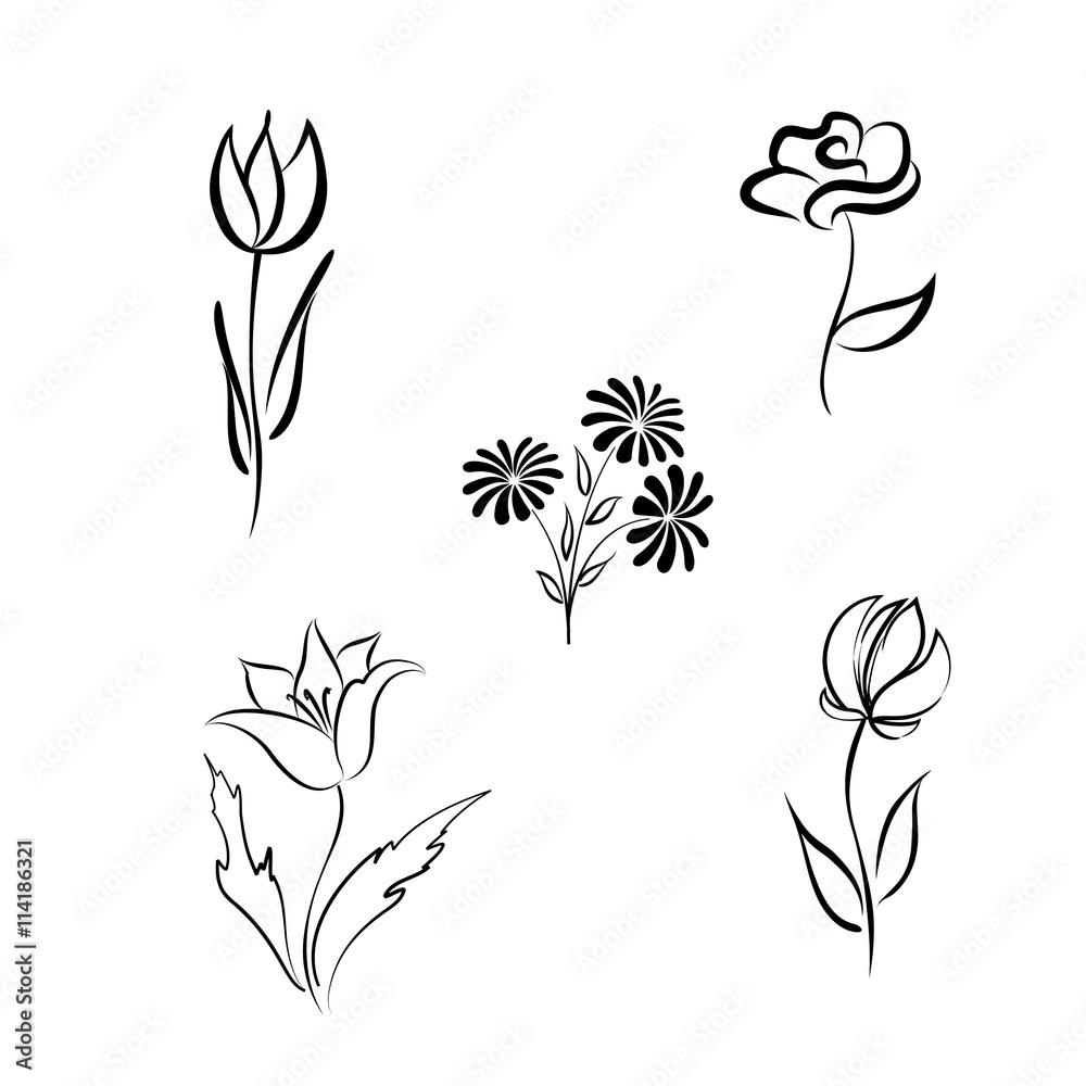 1000x1000 Flower set. Engraved hand drawing floral background design elements Different flowers isolated. Line fine art Stock Illustration