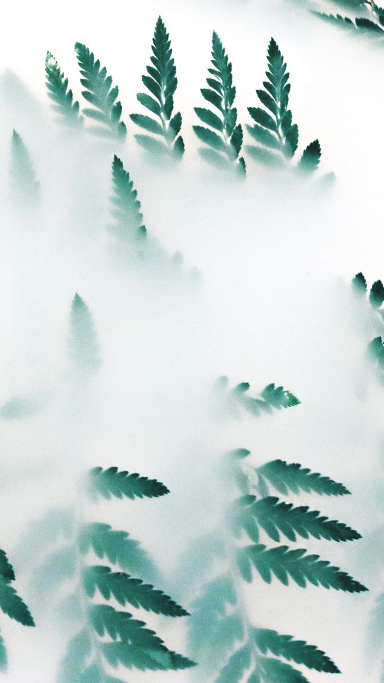 750x1334 Download Leaves, white smoke wallpaper, 750x iphone iPhone 8