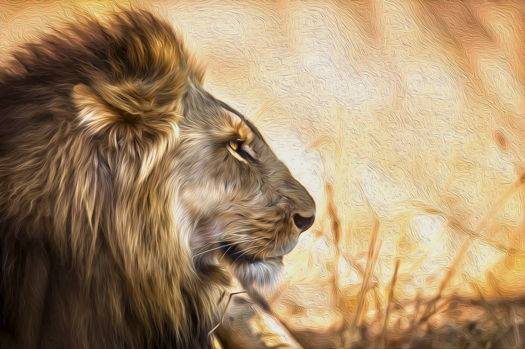 Lion Art 4K Wallpapers - Top Free Lion Art 4K Backgrounds - WallpaperAccess