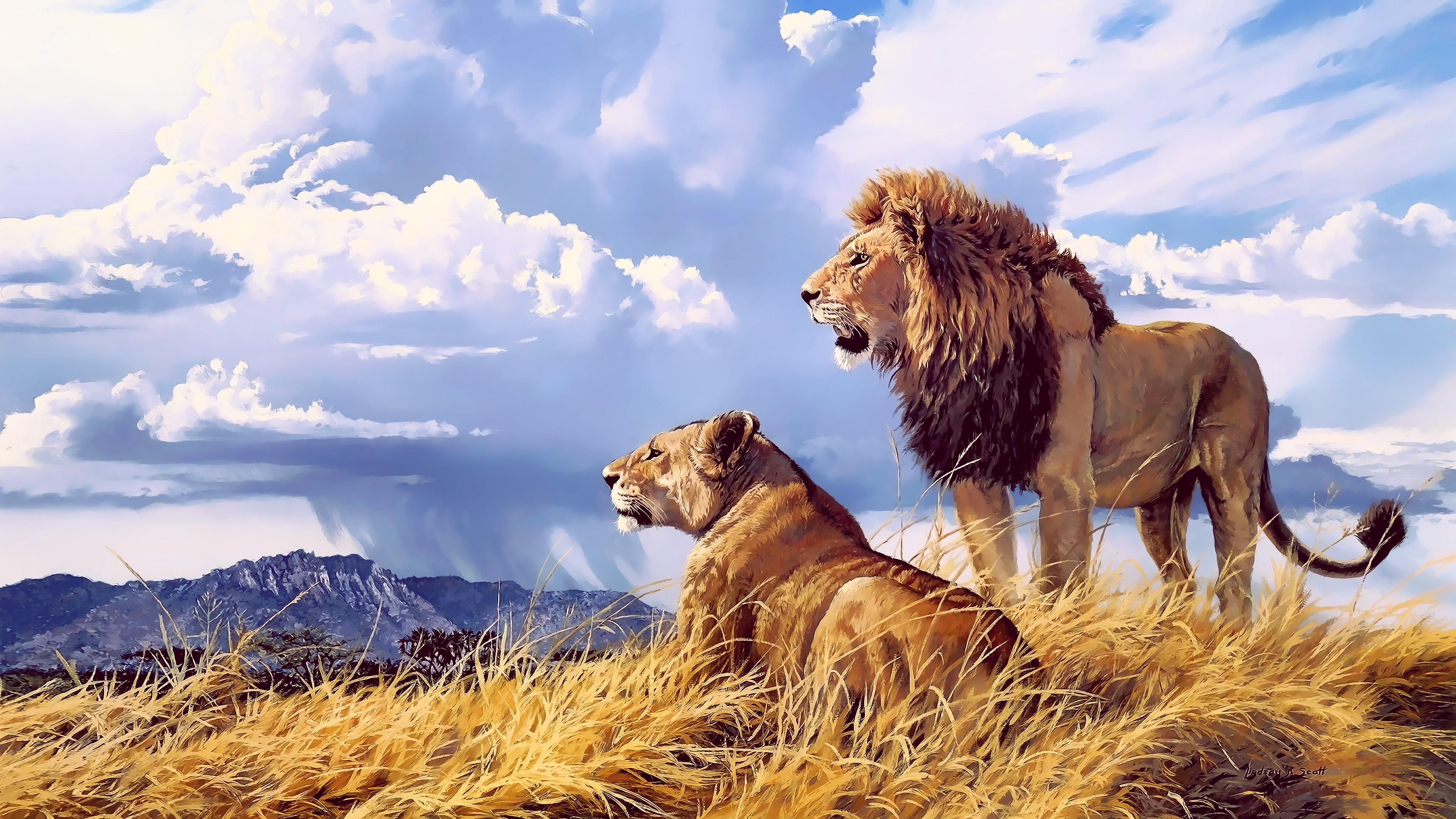 3840x2160 Wallpaper / lion, artwork, hd, 4k, animals free download