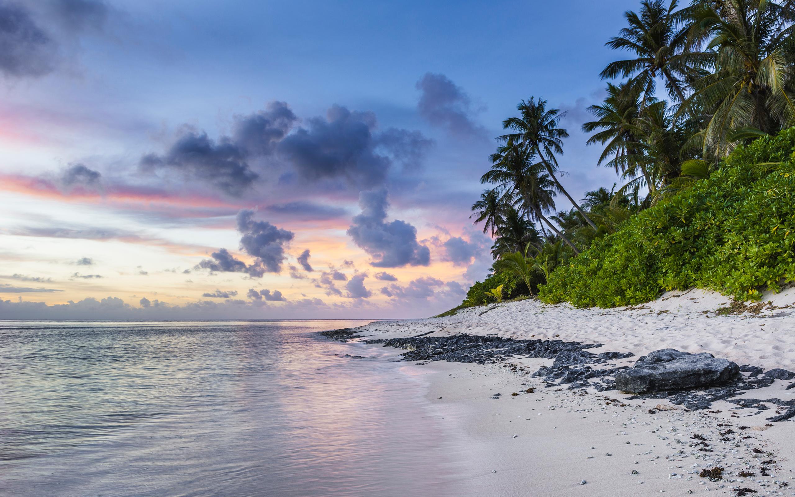 2560x1600 Daily Wallpaper: Tropical Paradise Beach. I Like To Waste My Time