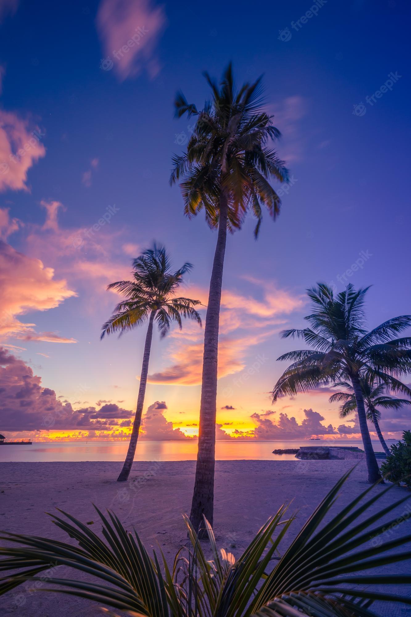 1333x2000 Premium Photo. Amazing sunset on the beach. paradise beach. tropical landscape, colorful sky clouds palm trees