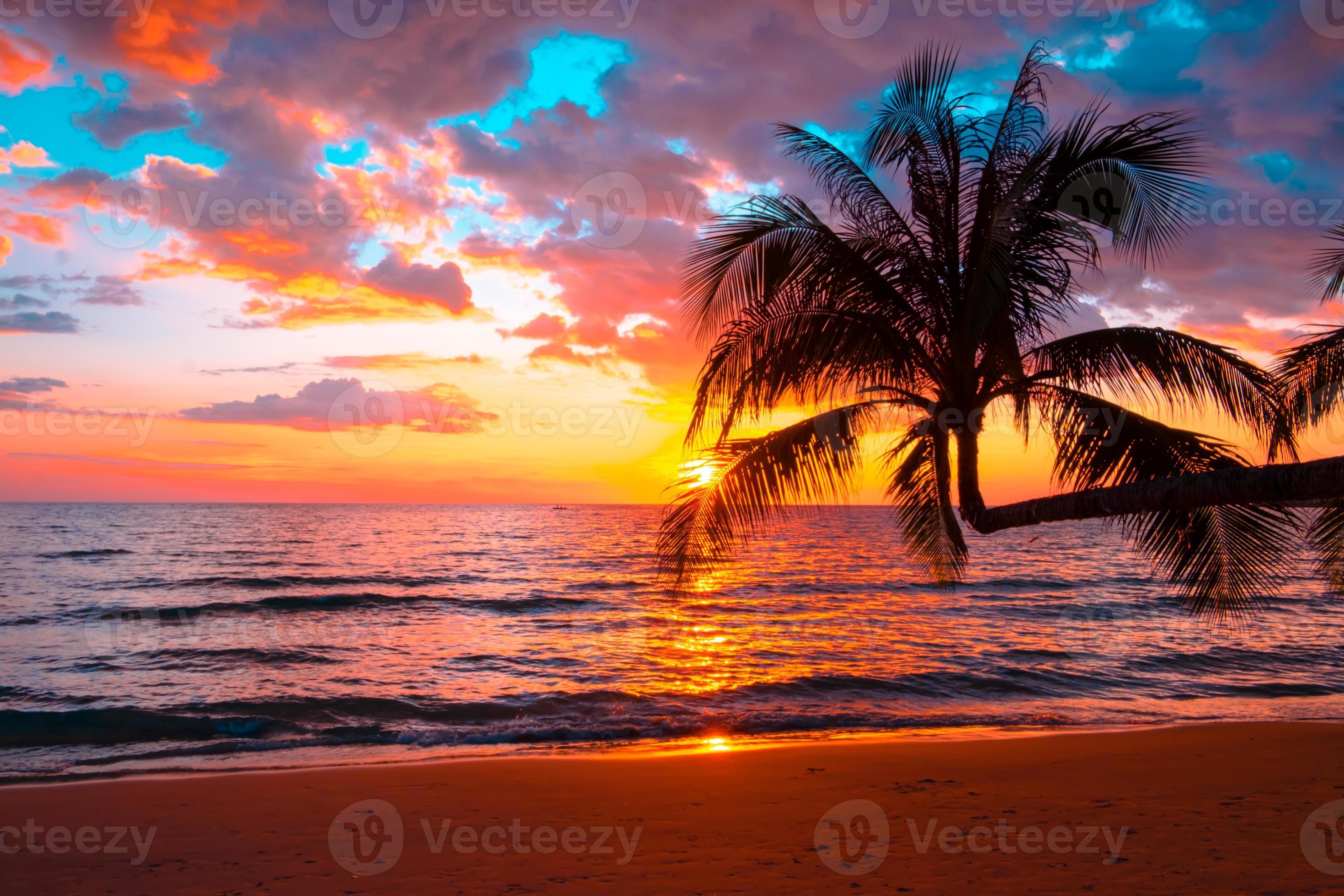 2940x1960 Silhouette of palm trees Beautiful sunset on the tropical sea beach background for travel in holiday relax time