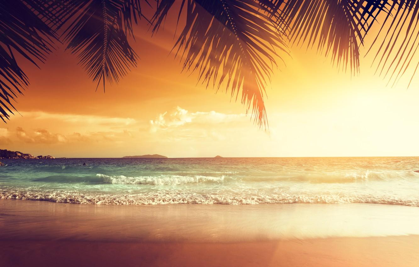 1332x850 Wallpaper sand, sea, beach, sunset, tropics, palm trees, shore, summer, beach, sea, ocean, coast, sunset, sand, paradise, tropical image for desktop, section природа