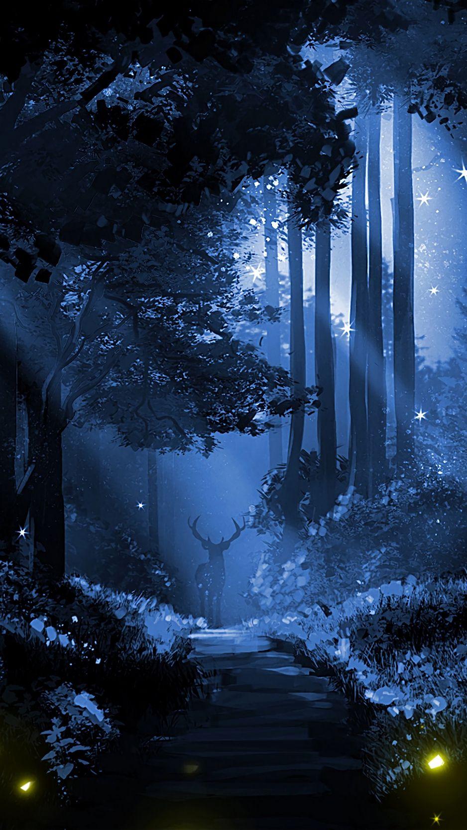 Beautiful Night Forest Wallpapers - Top Free Beautiful Night Forest ...