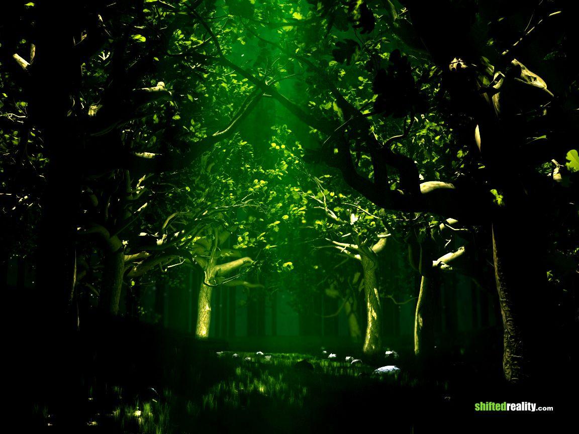 Night Green Forest Wallpapers Top Free Night Green Forest Backgrounds