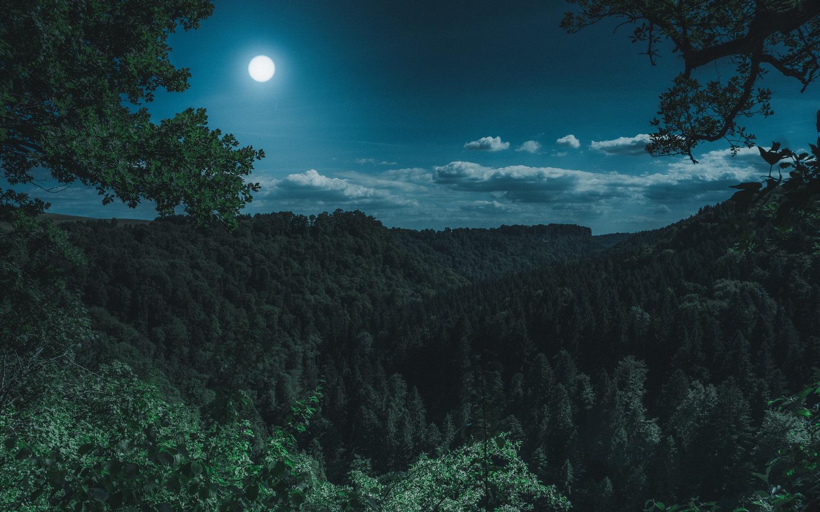1680x1050 Dark Night Forest View 5k 1680x1050 Resolution HD 4k Wallpaper, Image, Background, Photo and Picture