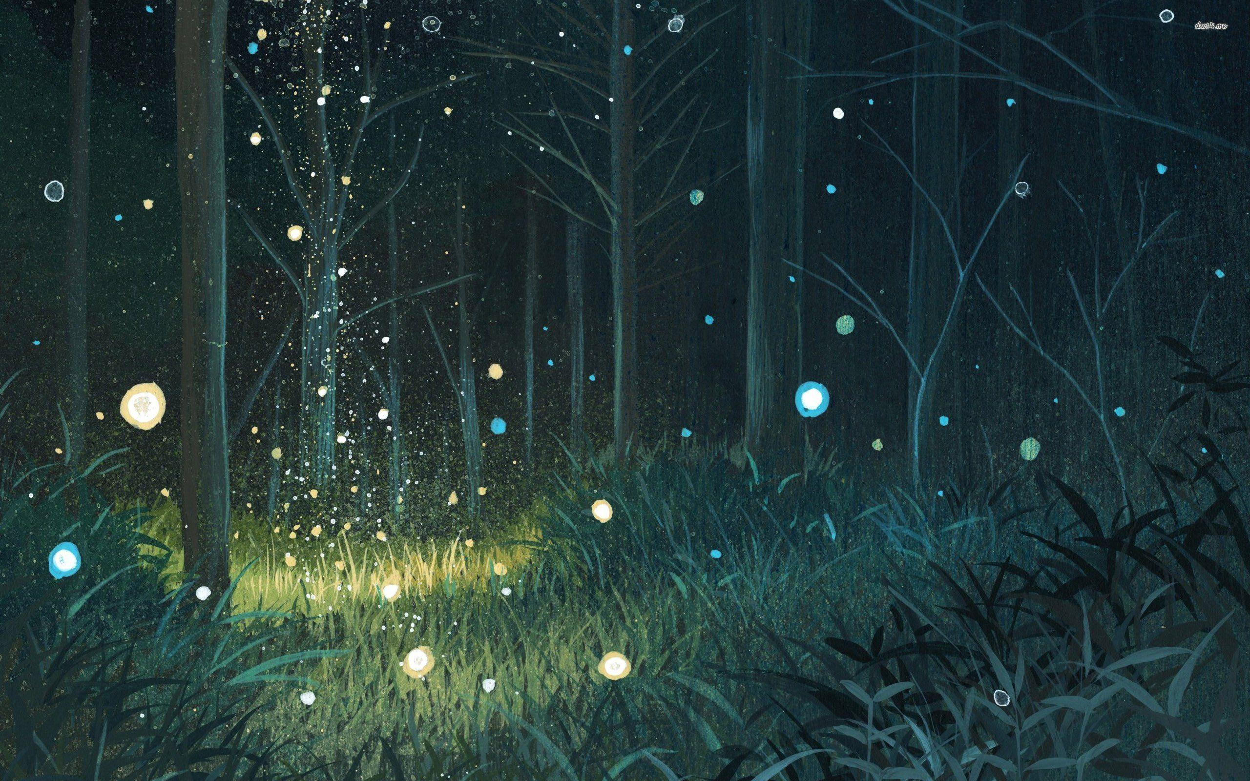 2560x1600 Night Forest Wallpaper