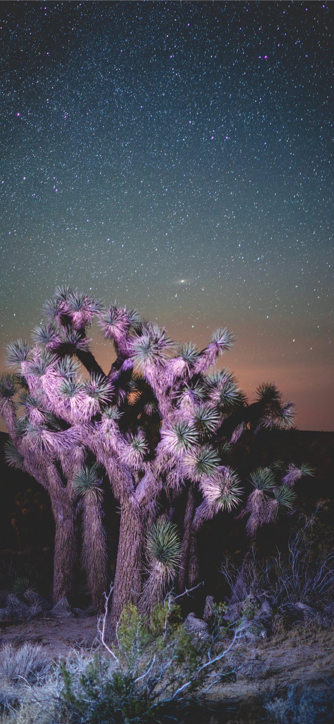 1125x2436 Desert Nights iPhone X Wallpaper Free Download