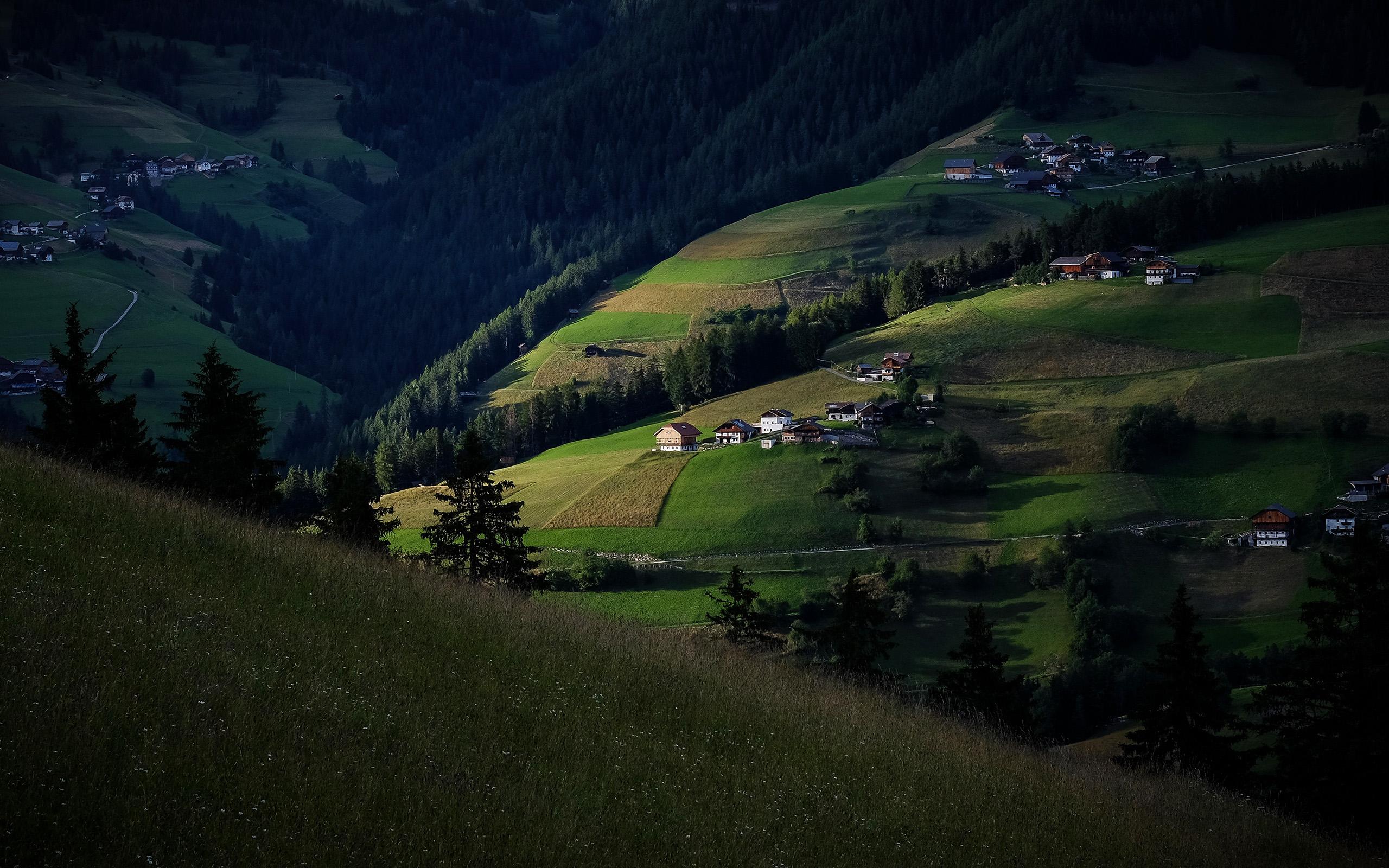 2560x1600 Hill Town Dark Nature Green Forest Wallpaper
