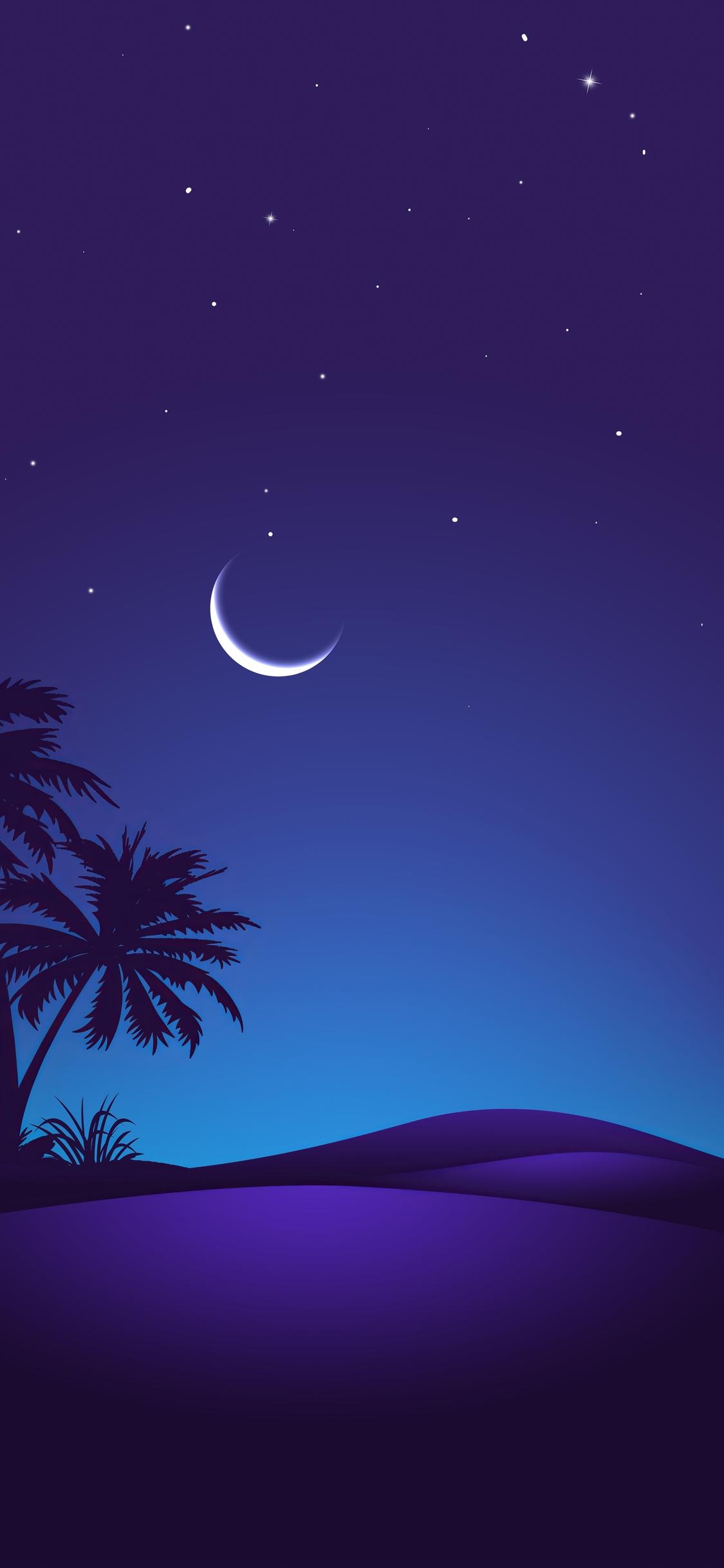 1125x2436 Night Time Desert 4k iPhone XS, iPhone iPhone X HD 4k Wallpaper, Image, Background, Photo and Picture