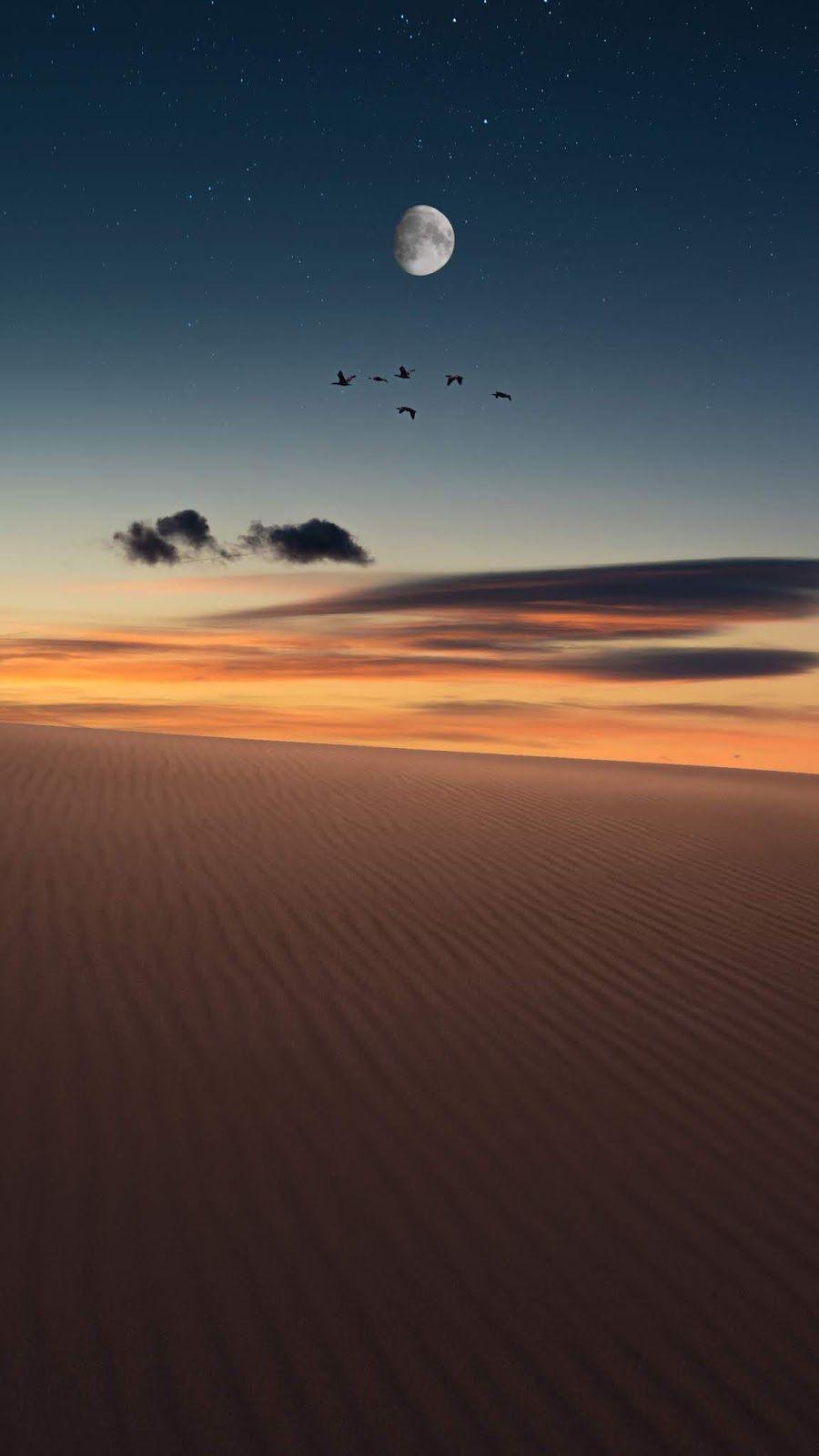 900x1600 Desert night sky. Sunset iphone wallpaper, Night sky wallpaper, Sunrise wallpaper