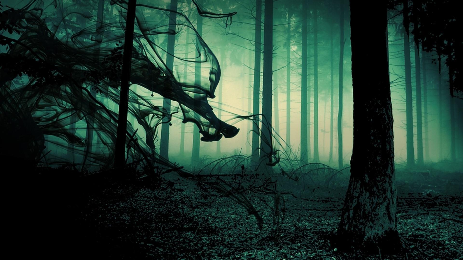 1920x1080 creepy, Green, Forest, Smoke, Shadow, Trees, Grass, Mist Wallpaper HD / Desktop and Mobile Background