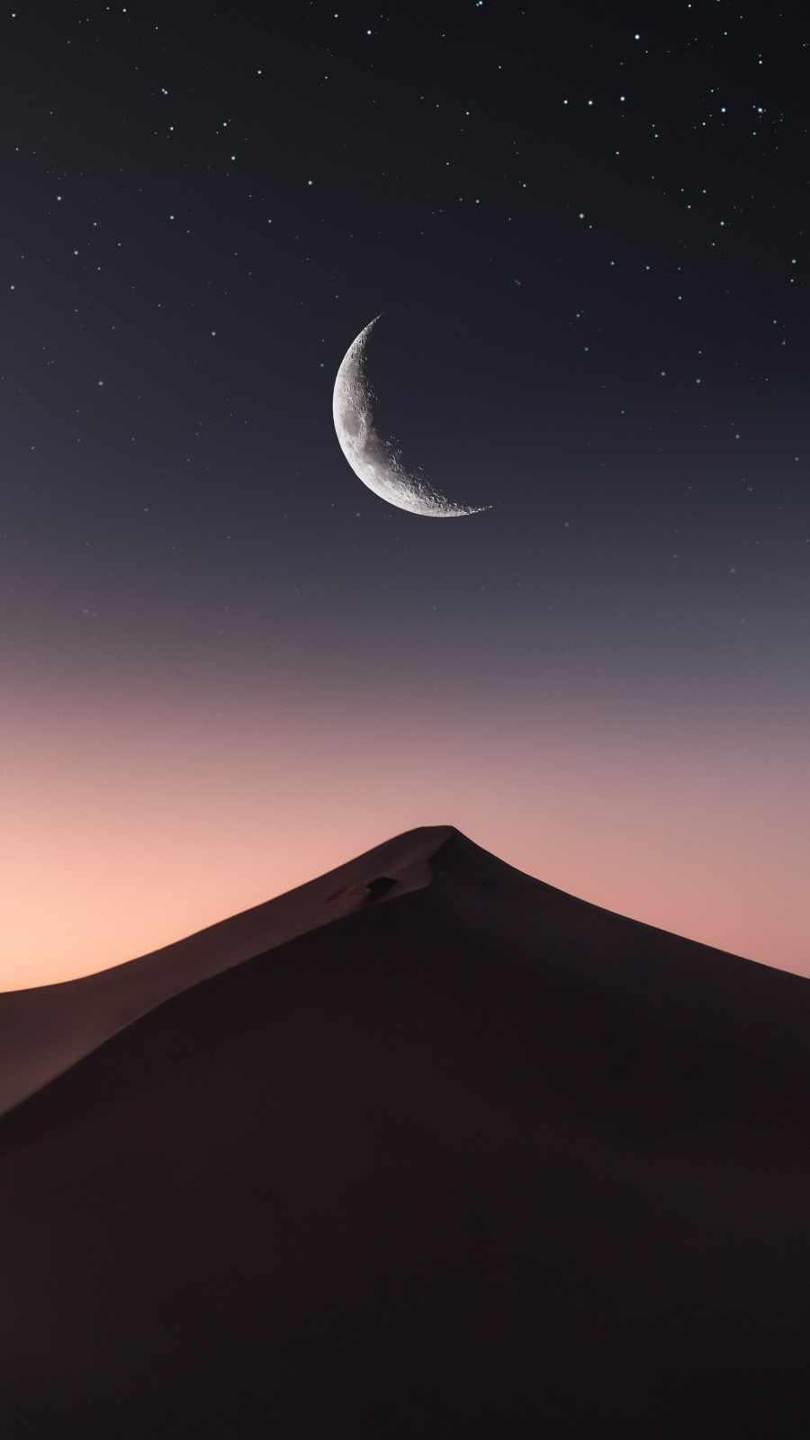 900x1600 Desert Sky In Night IPhone Wallpaper Wallpaper : iPhone Wallpaper
