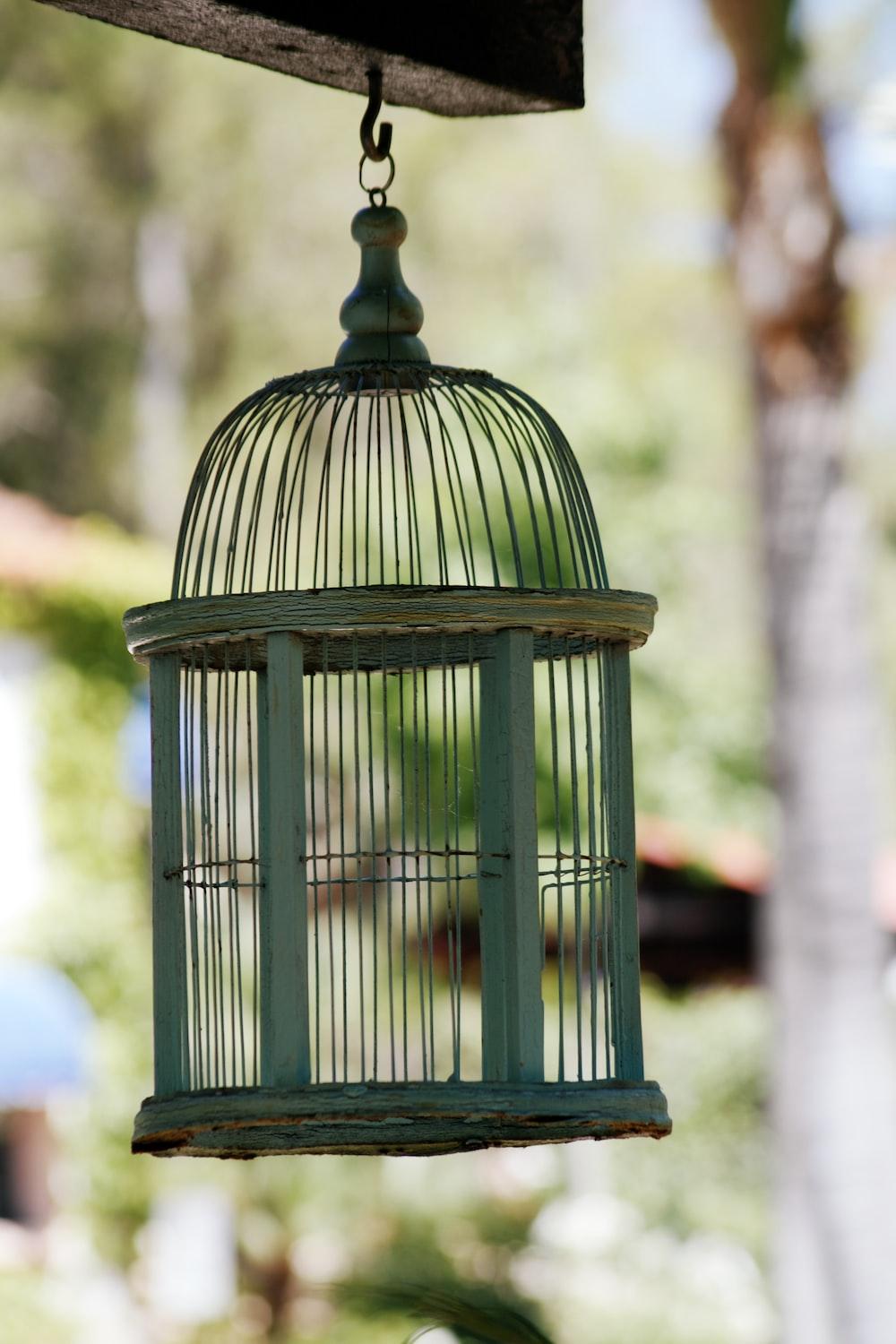 Bird Cage Wallpapers - Top Free Bird Cage Backgrounds - WallpaperAccess