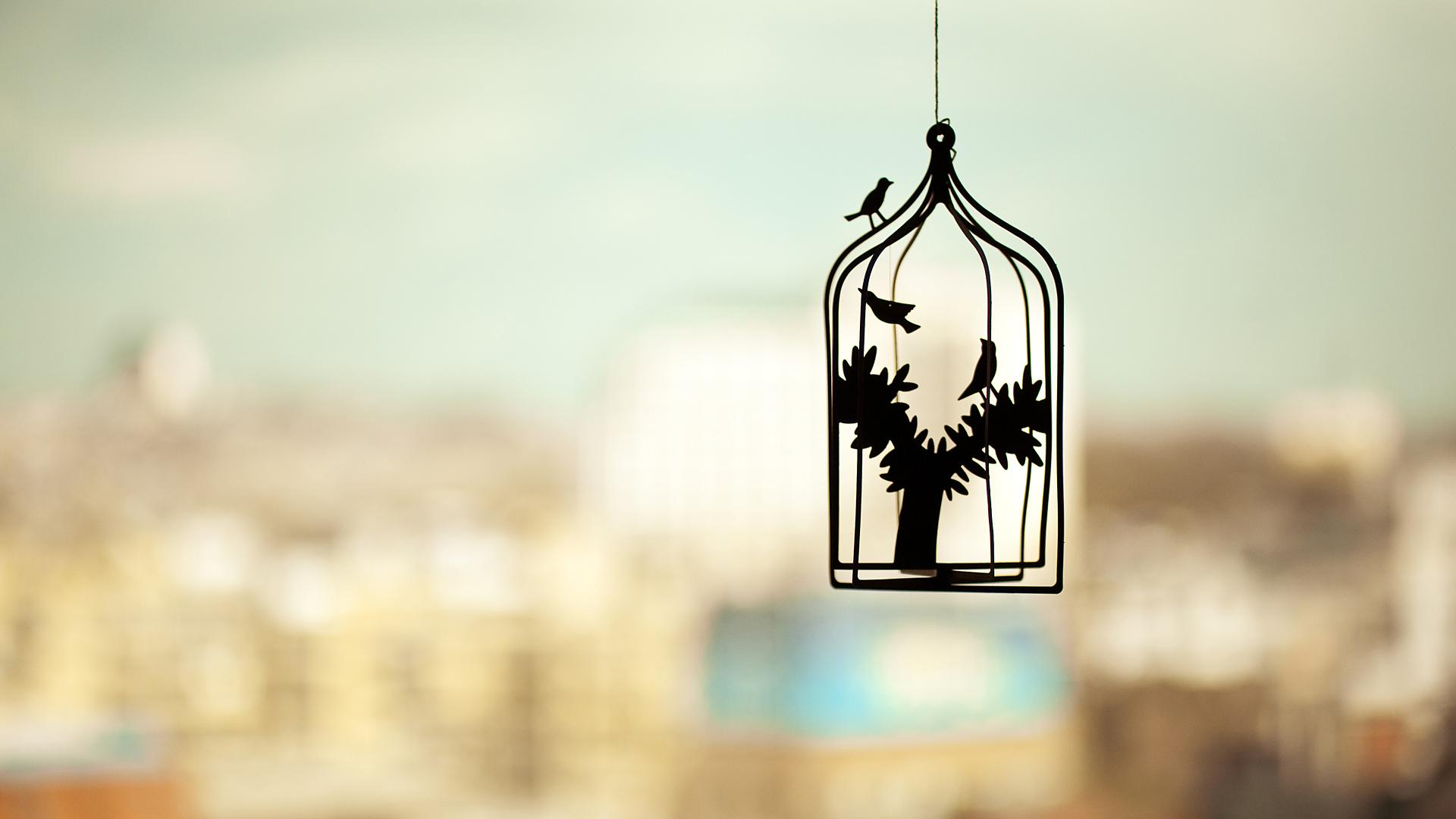 1920x1080 Bird Cage Wallpaper